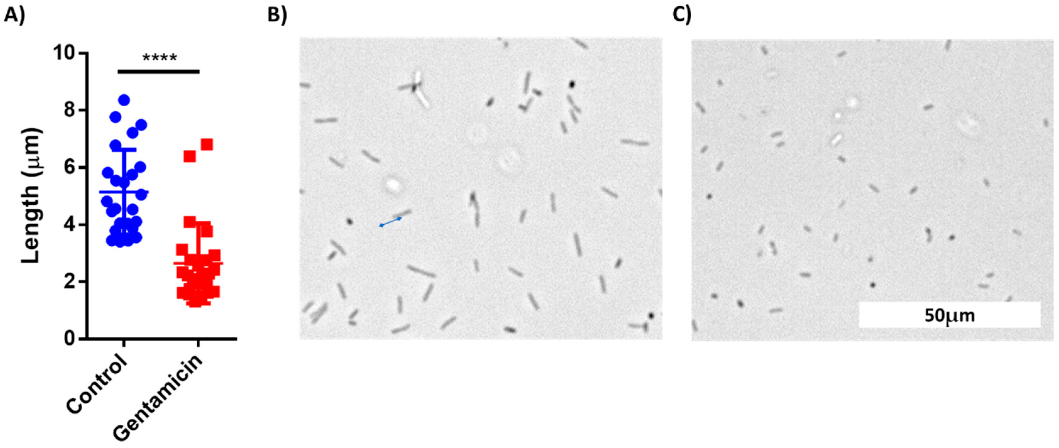 Sensors 21 05902 g008