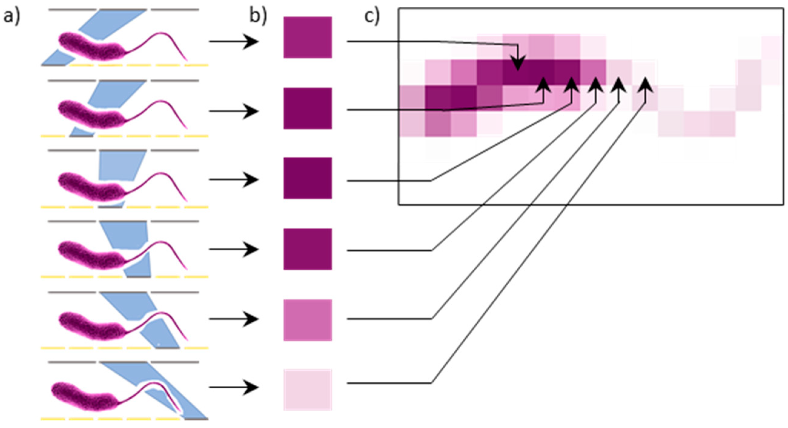 Sensors 21 05941 g001 550