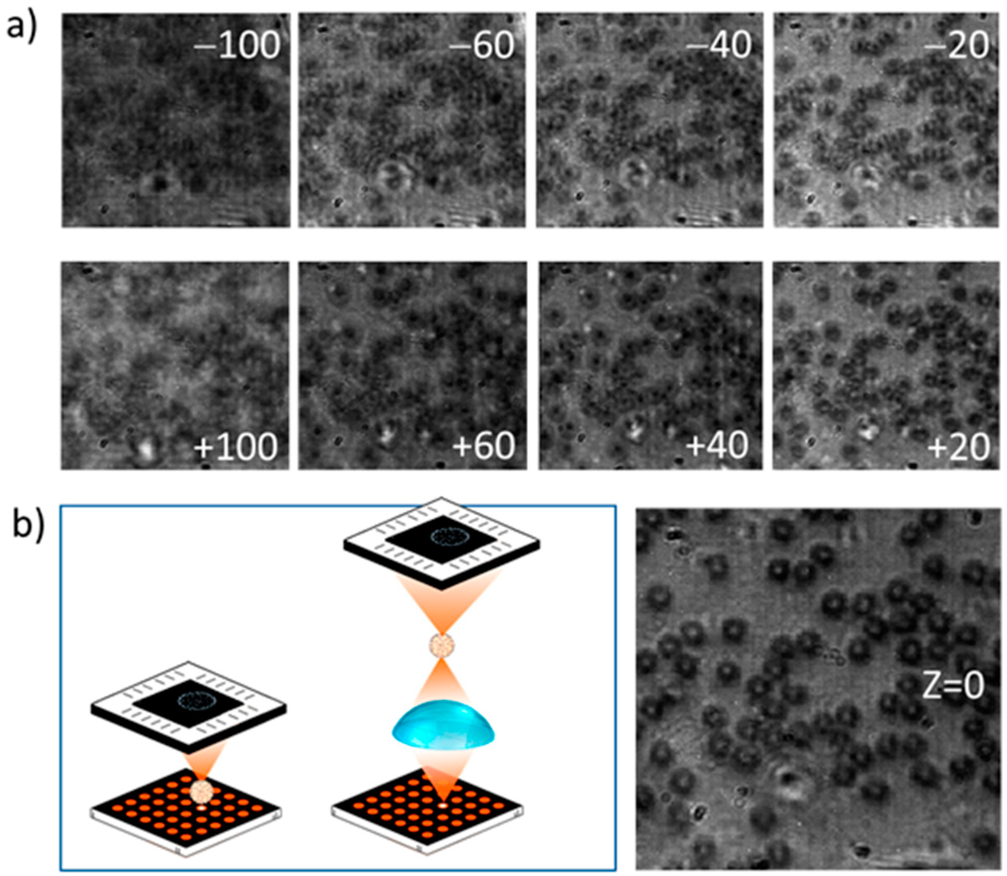 Sensors 21 05941 g008 550