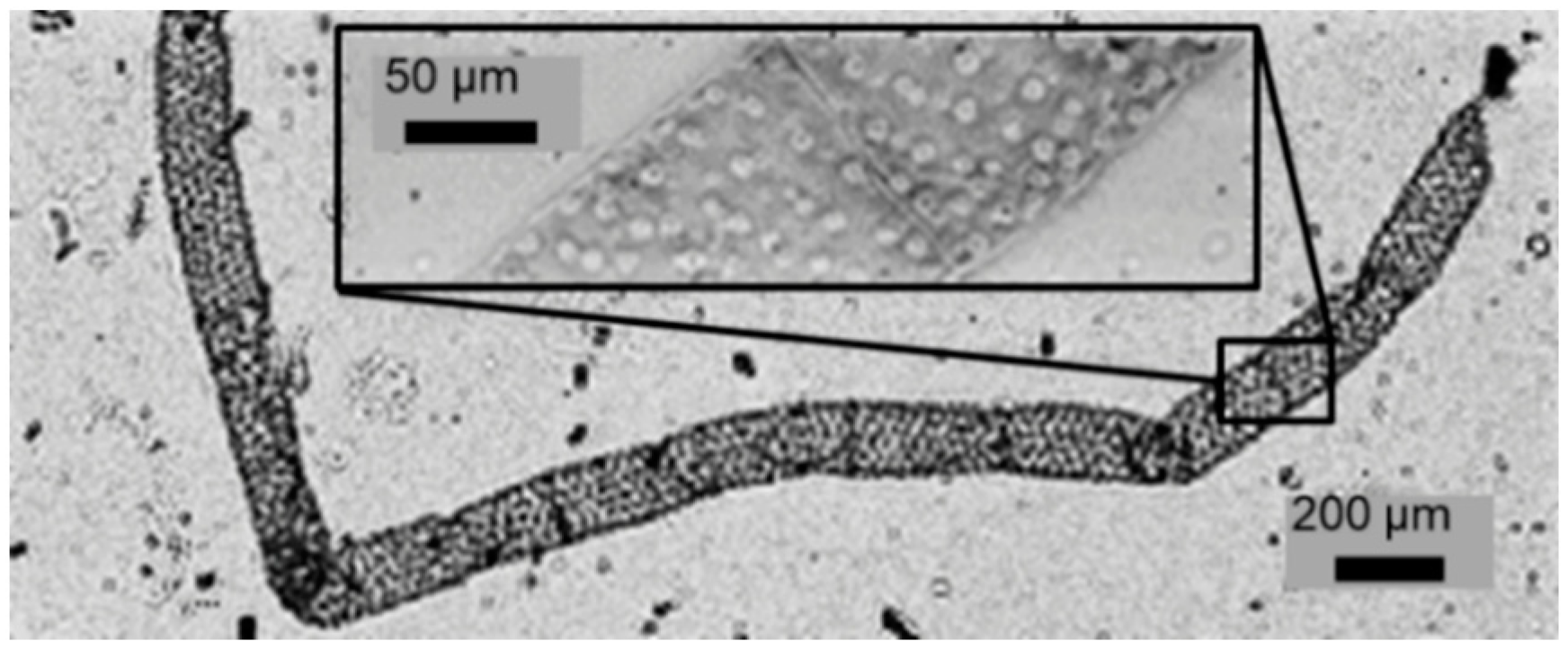Sensors 21 05941 g009 550