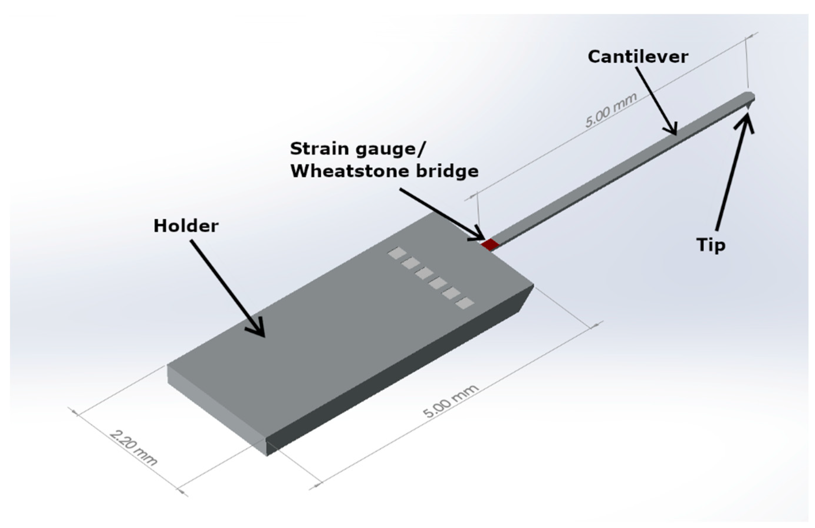 Sensors 21 05955 g001 550
