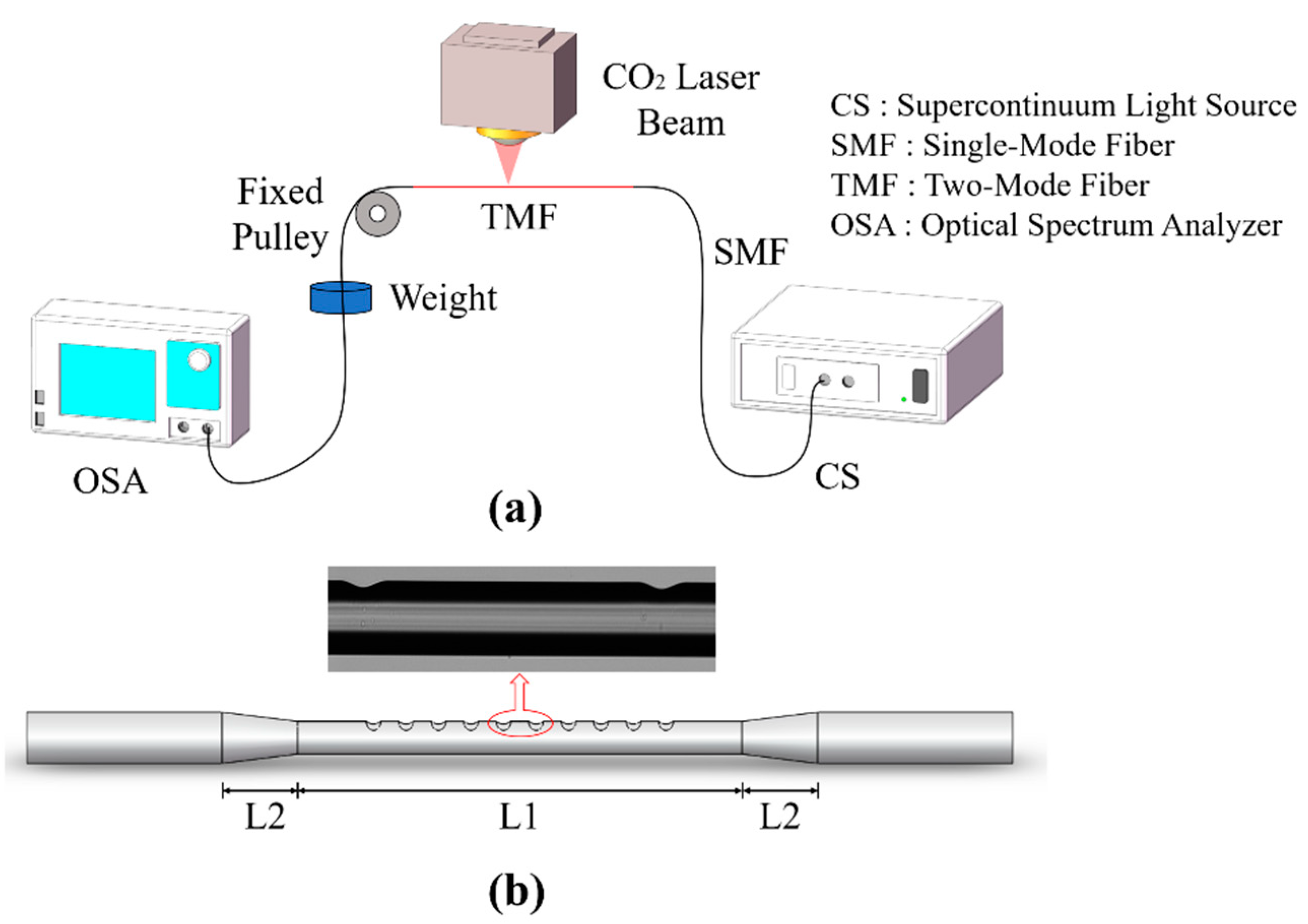 Sensors 21 05970 g004