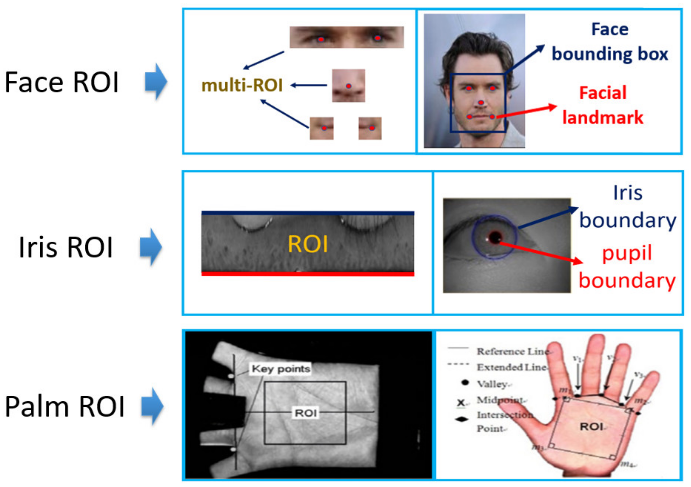 Sensors 21 05973 g001 550