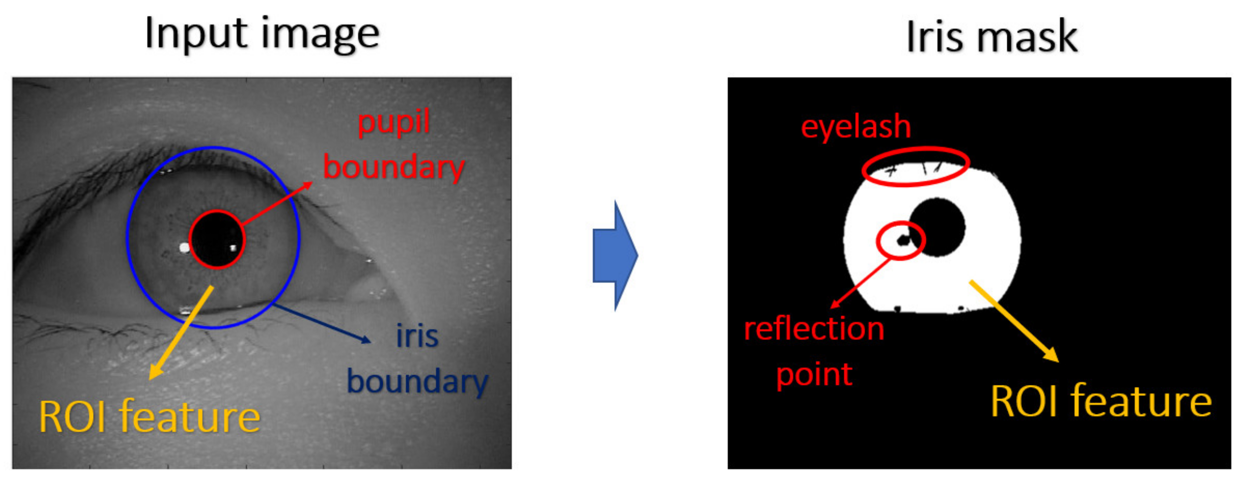 Sensors 21 05973 g003 550
