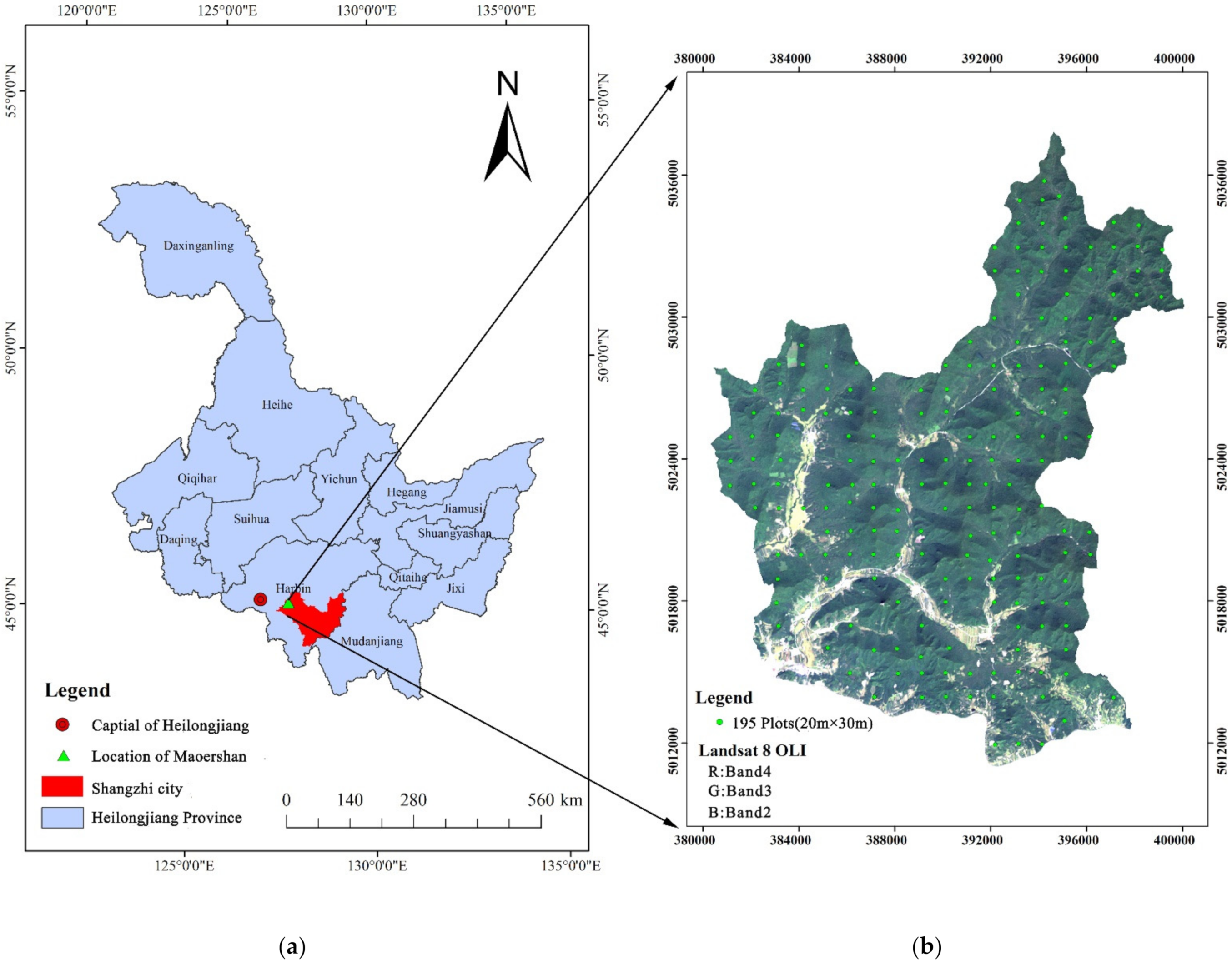Sensors 21 05974 g001