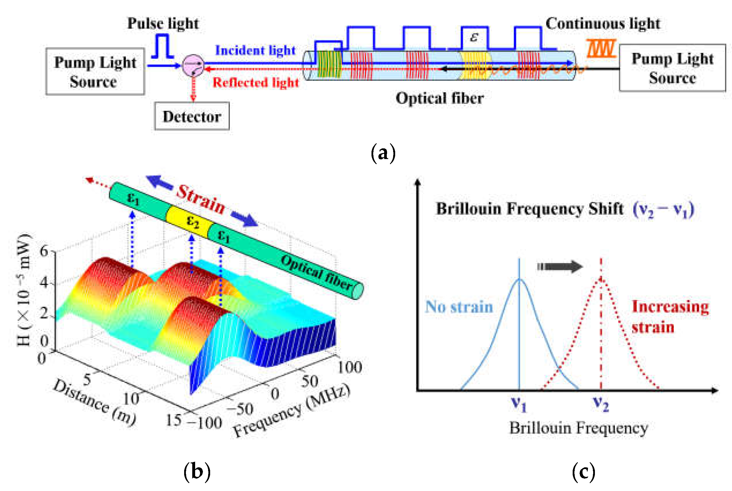 Sensors 21 05985 g001 550