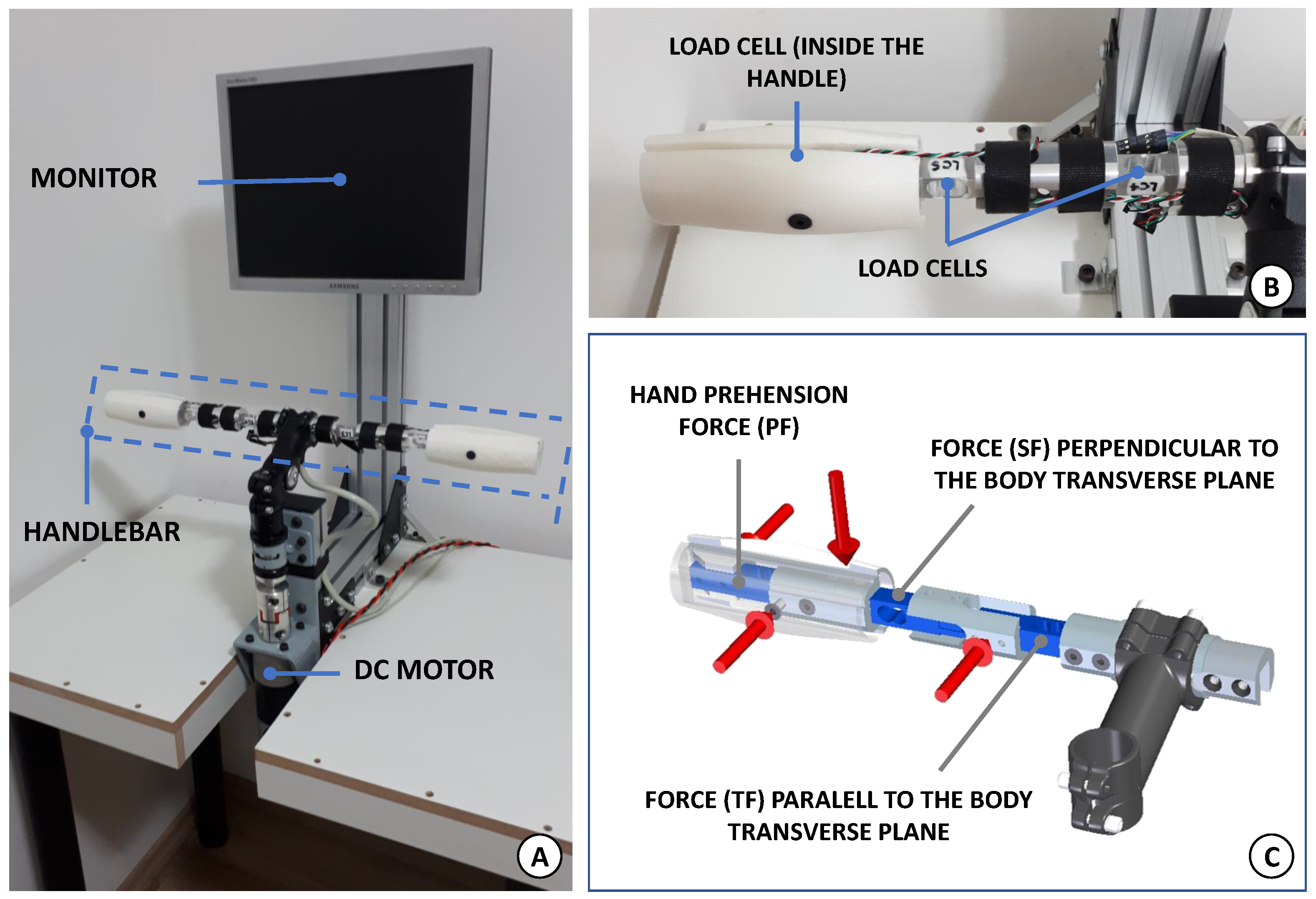 Sensors 21 05991 g001 550