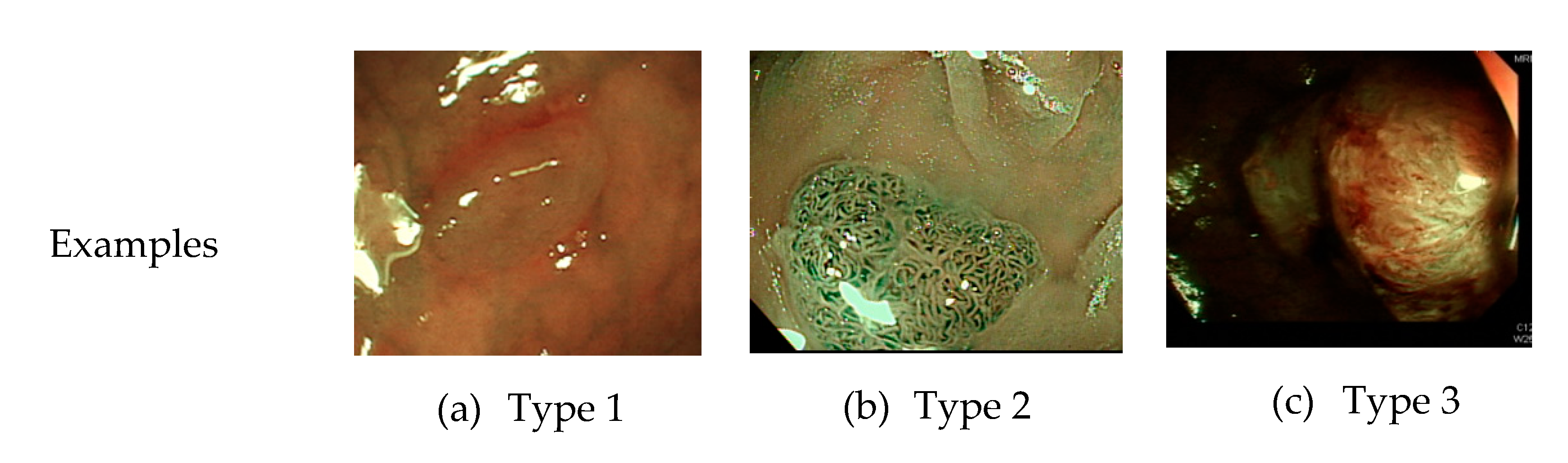 Sensors 21 05995 g001