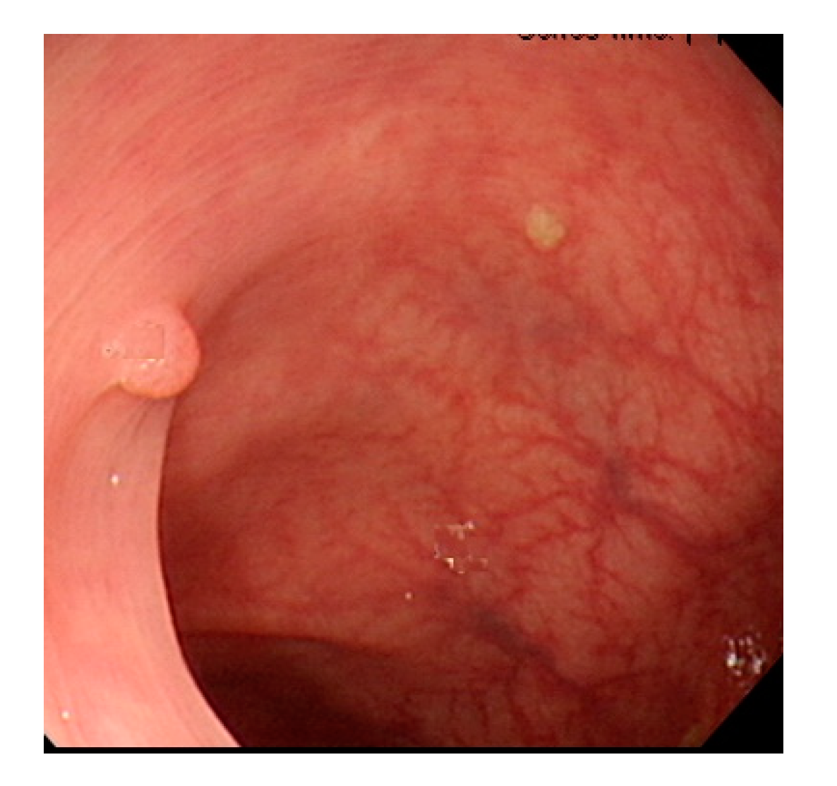 Sensors 21 05995 g002