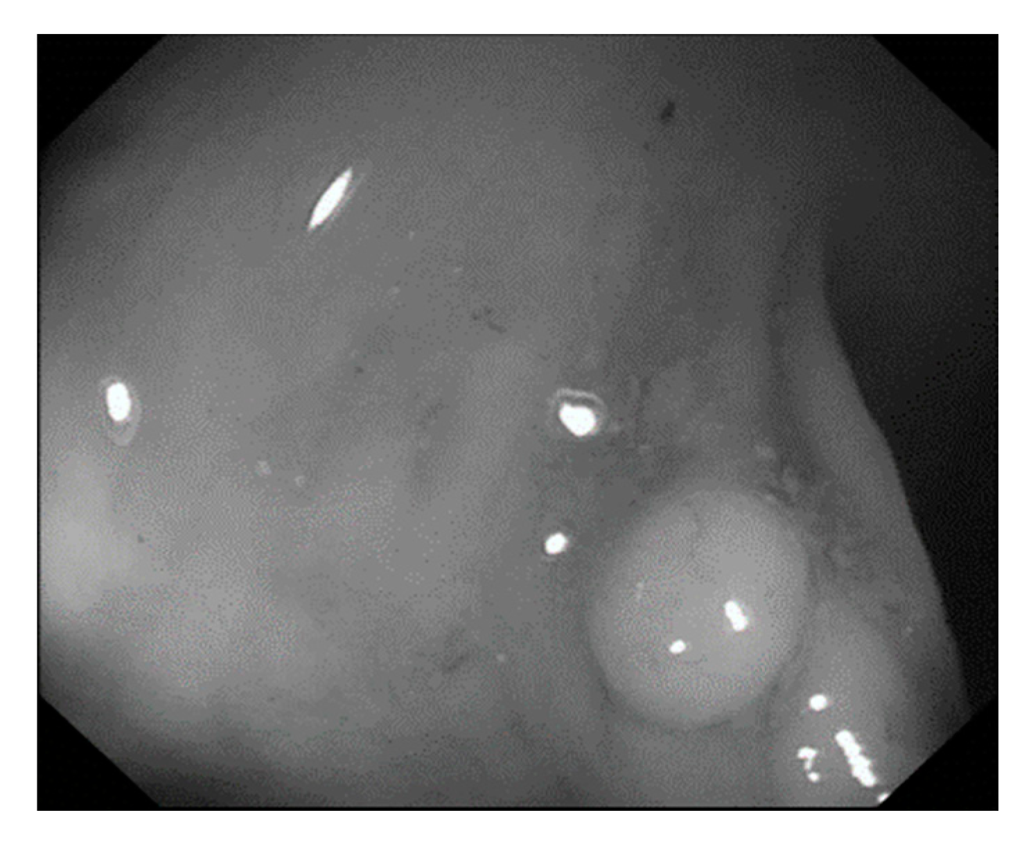 Sensors 21 05995 g008