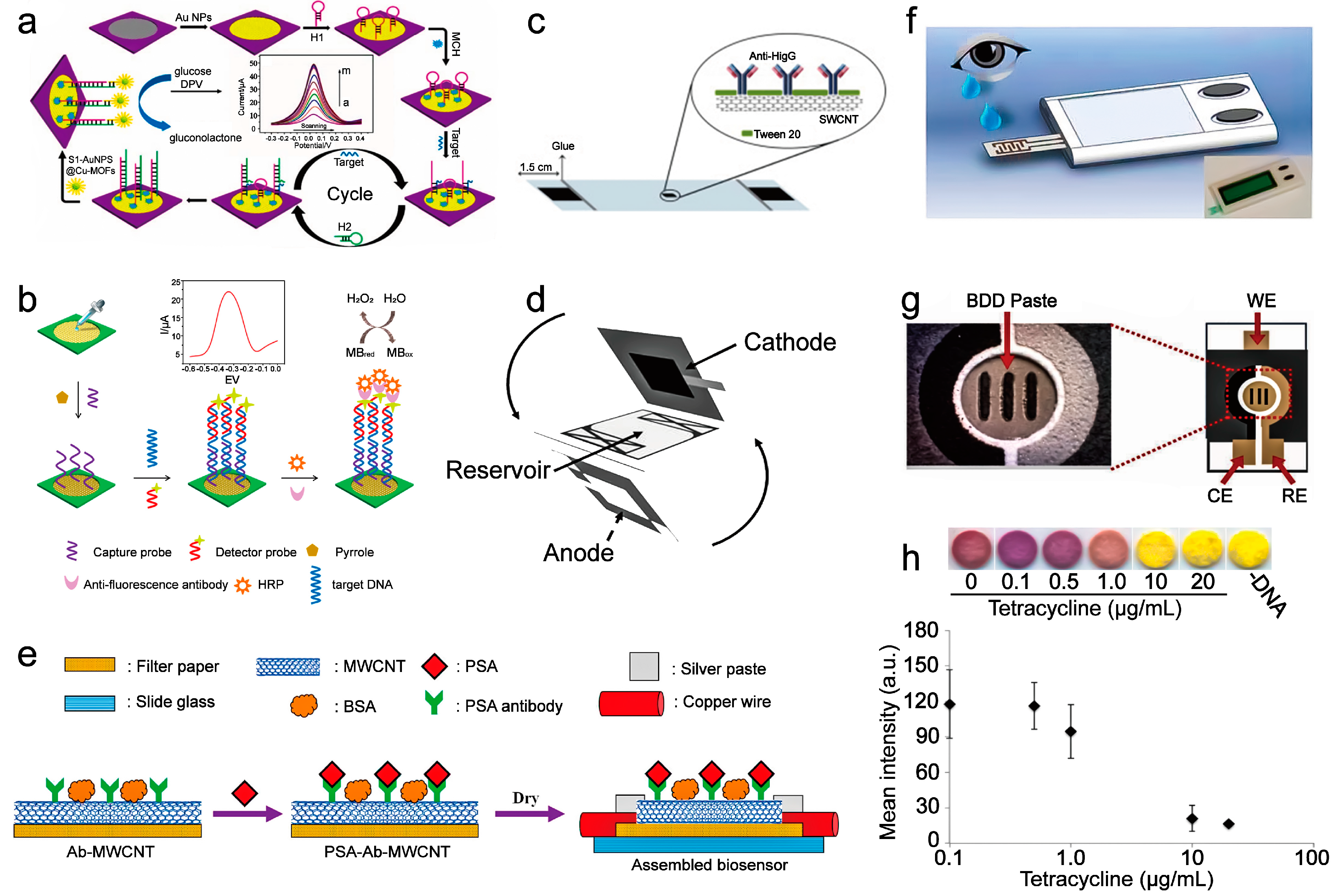Sensors 21 05998 g003