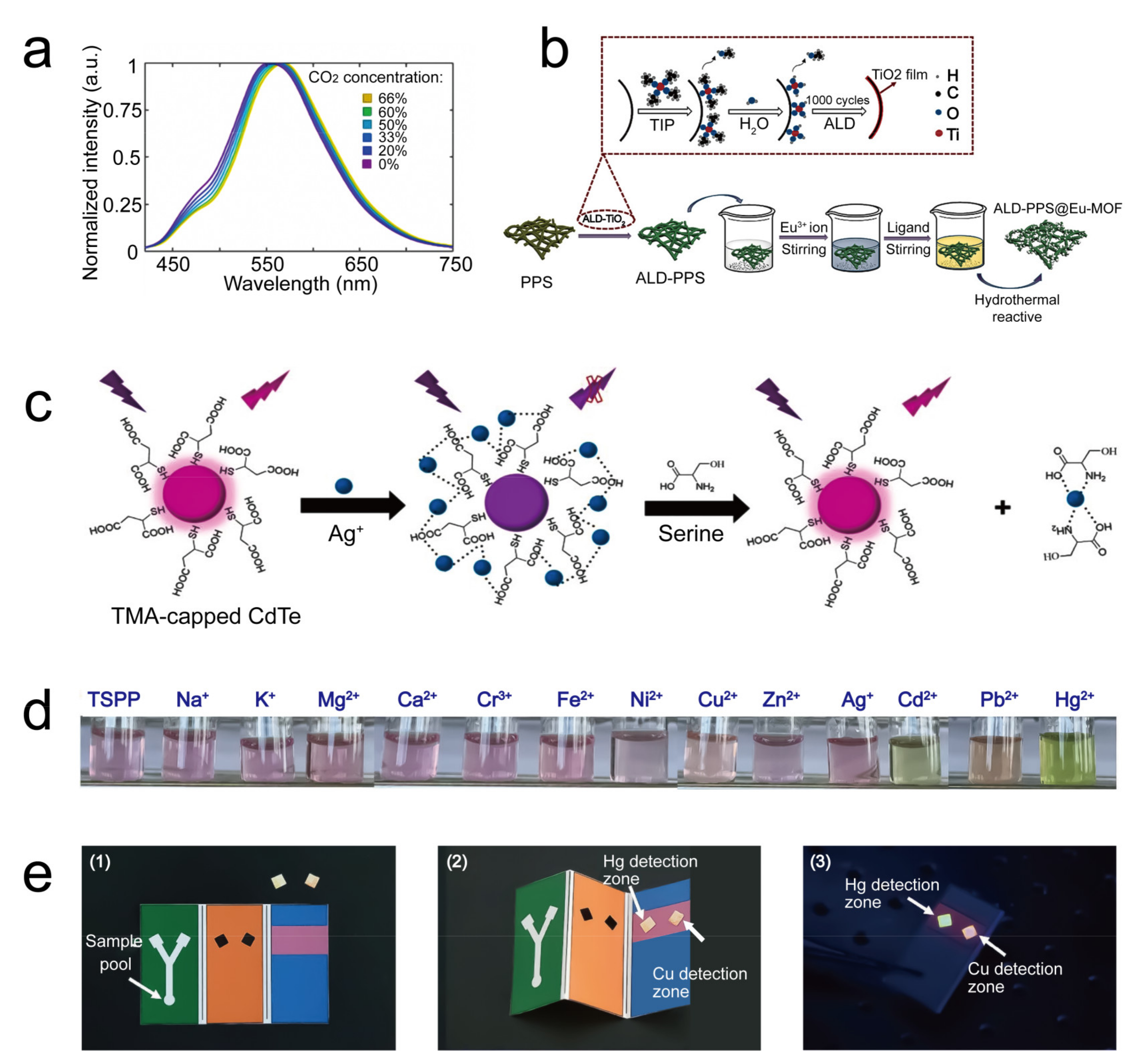 Sensors 21 05998 g005