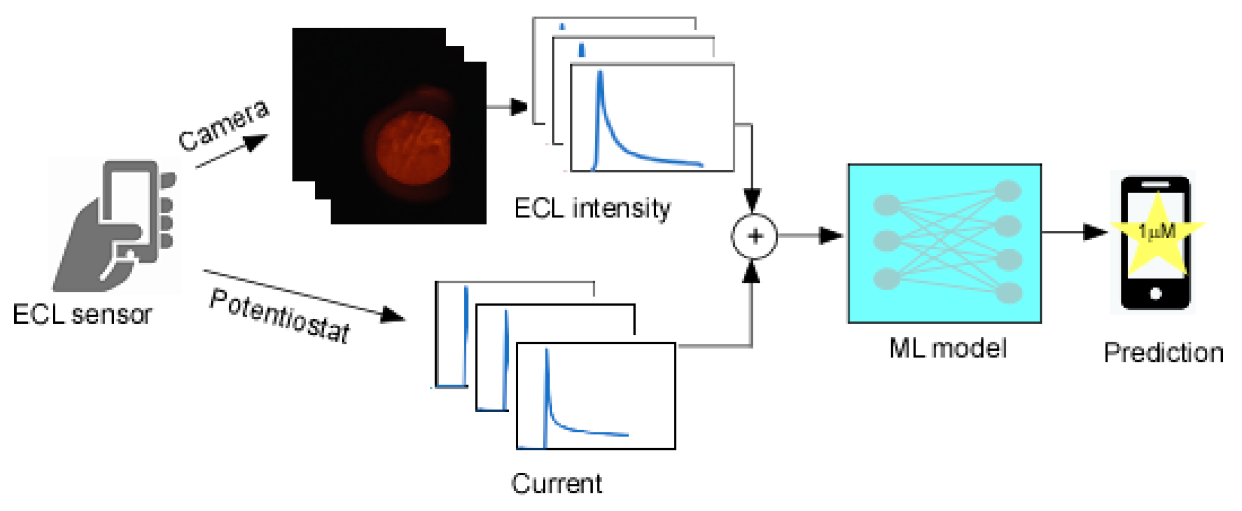 Sensors 21 06004 g001 550