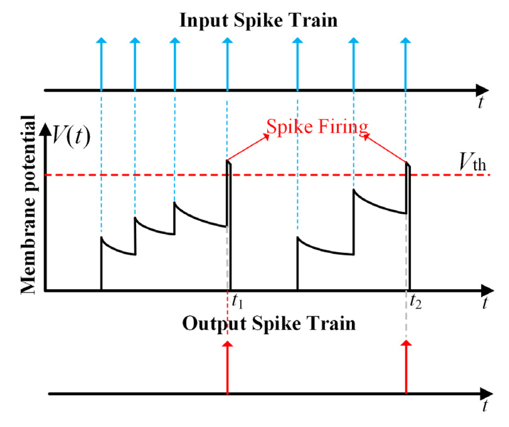 Sensors 21 06006 g001