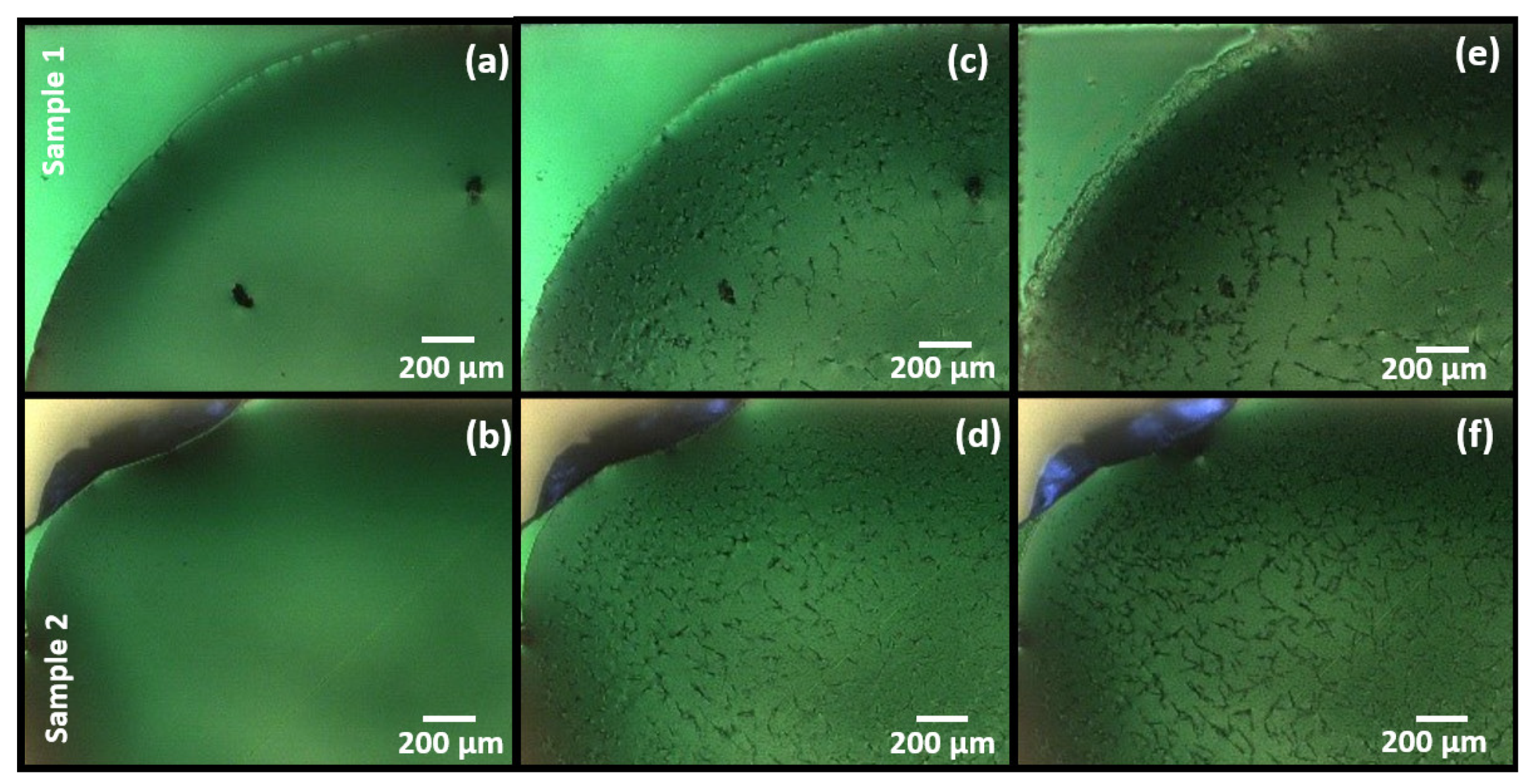 Sensors 21 06041 g002 550