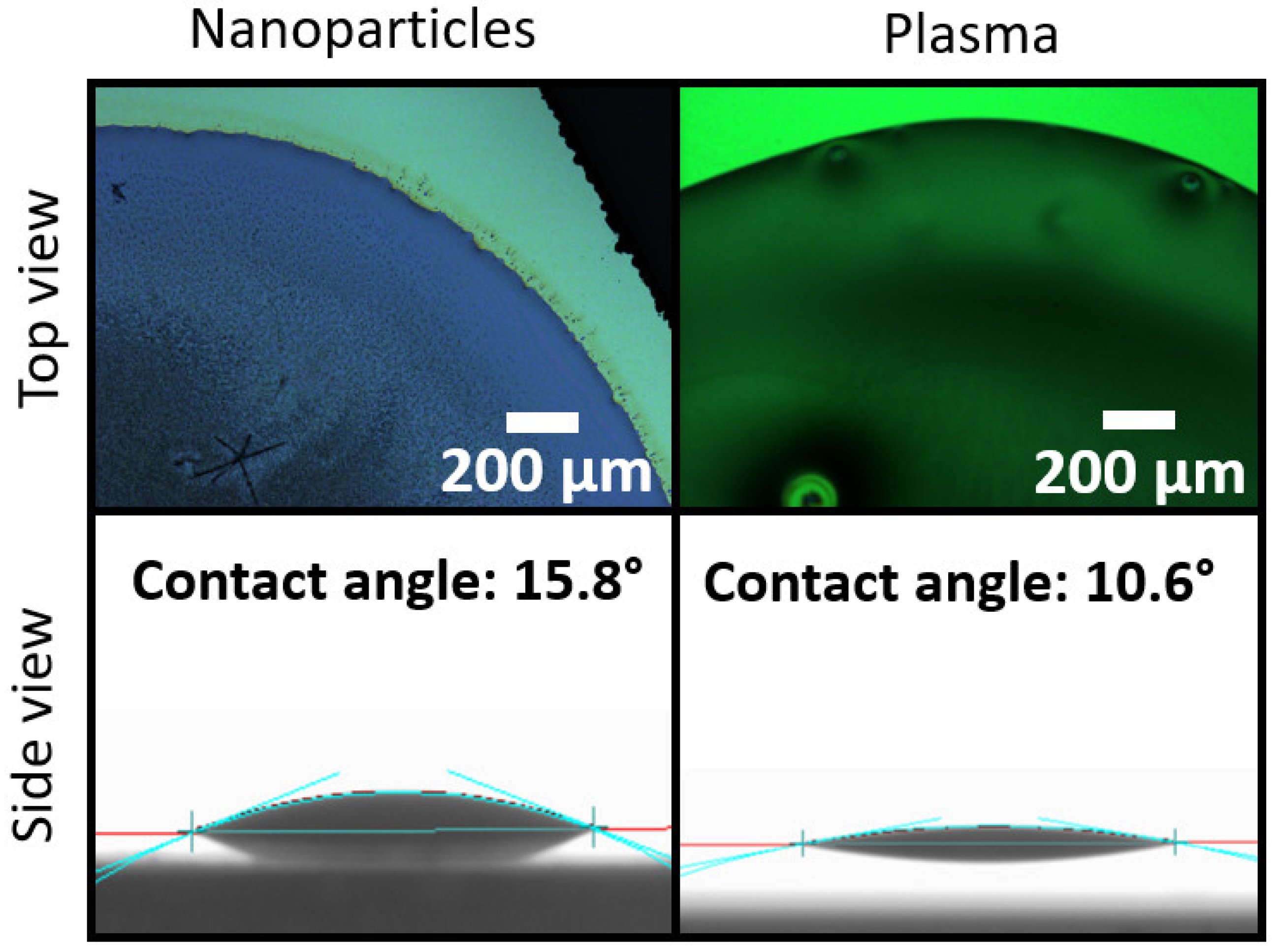 Sensors 21 06041 g004 550