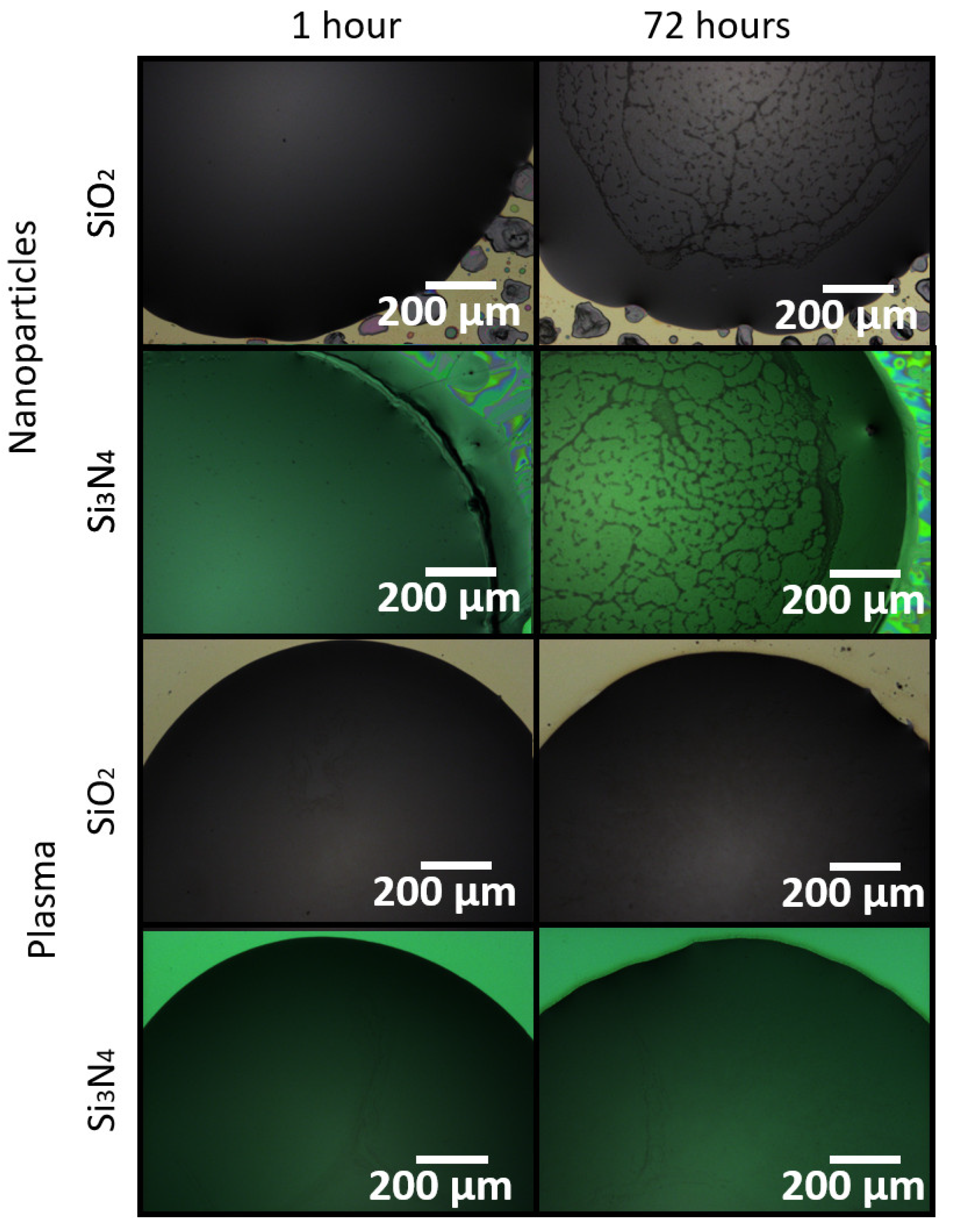 Sensors 21 06041 g005 550