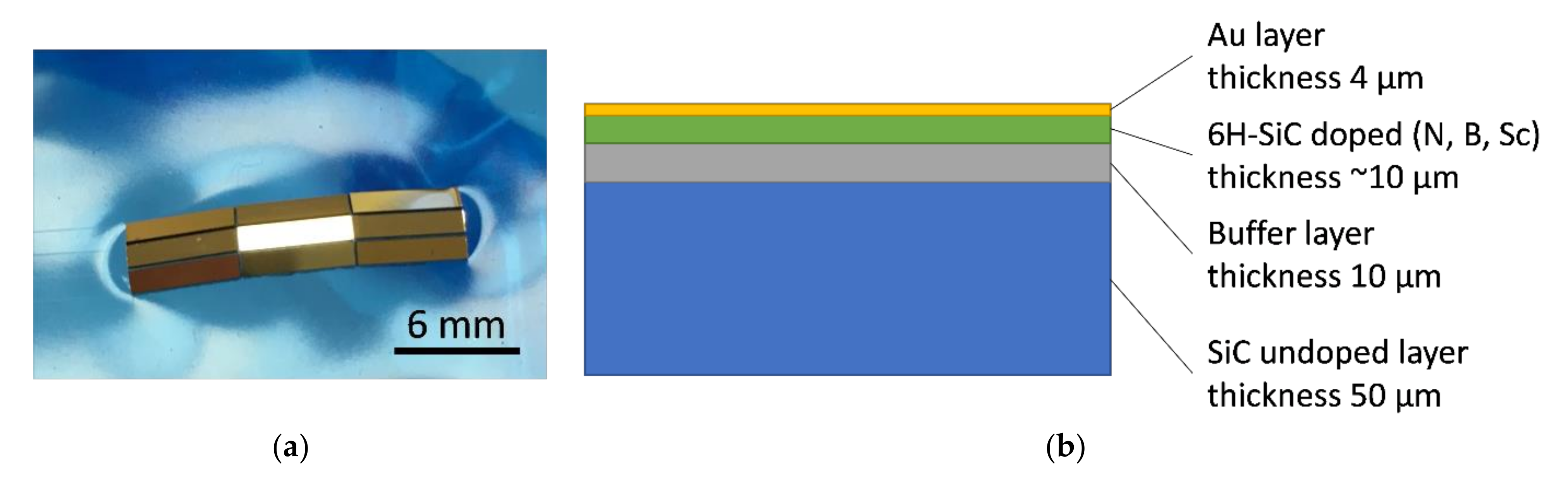 Sensors 21 06066 g005 550