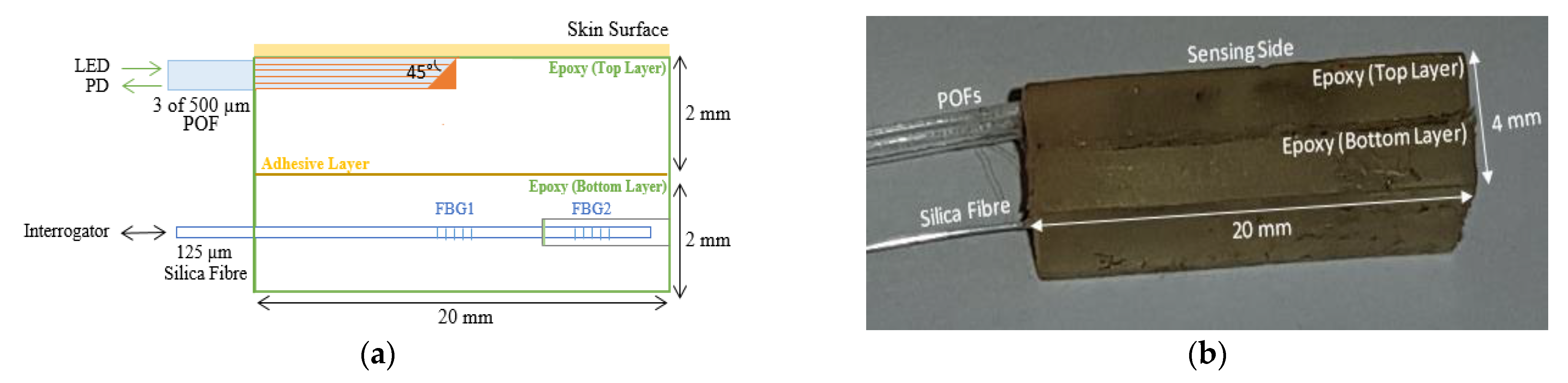 Sensors 21 06072 g003 550