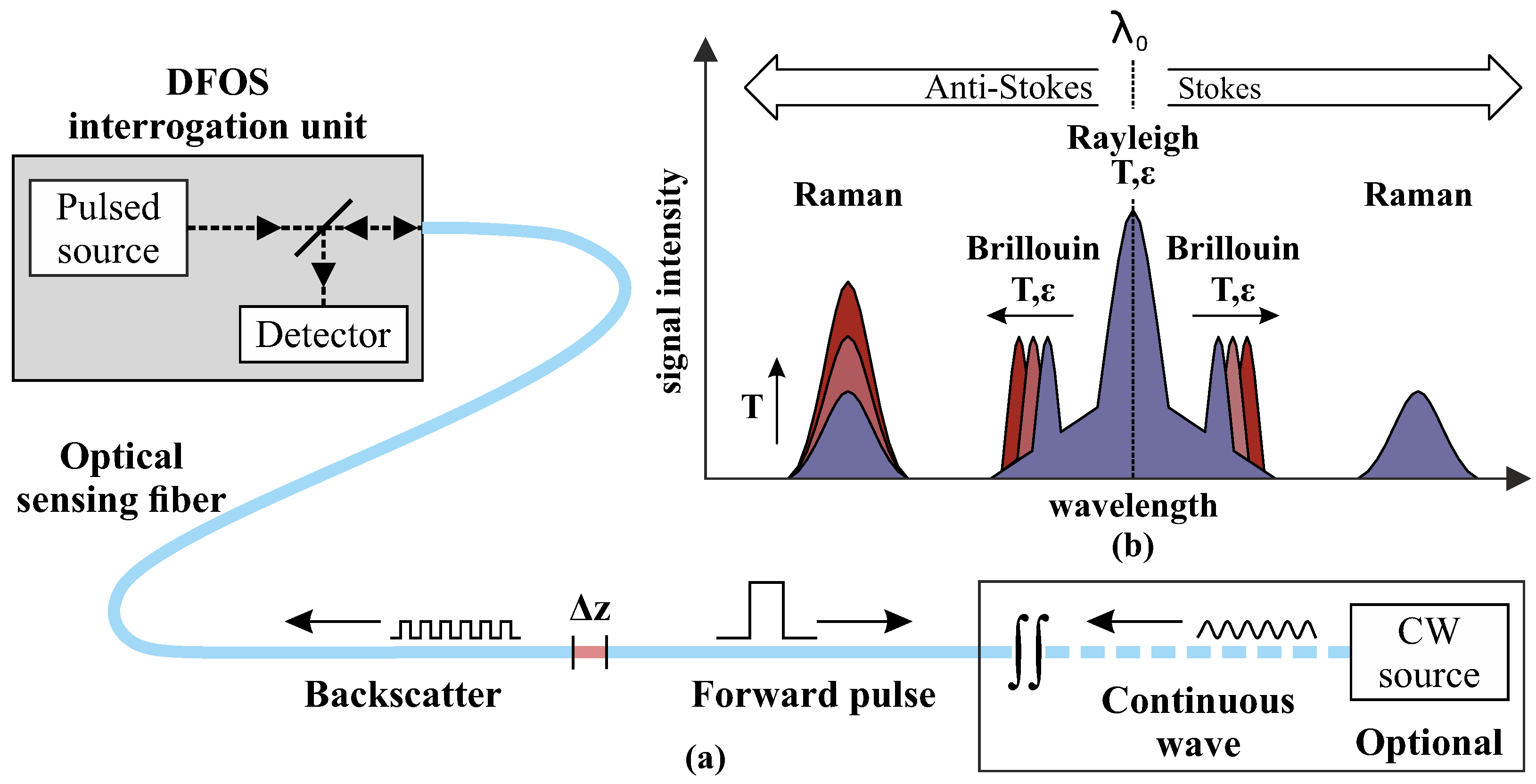Sensors Free FullText Distributed Fiber Optic Shape Sensing of