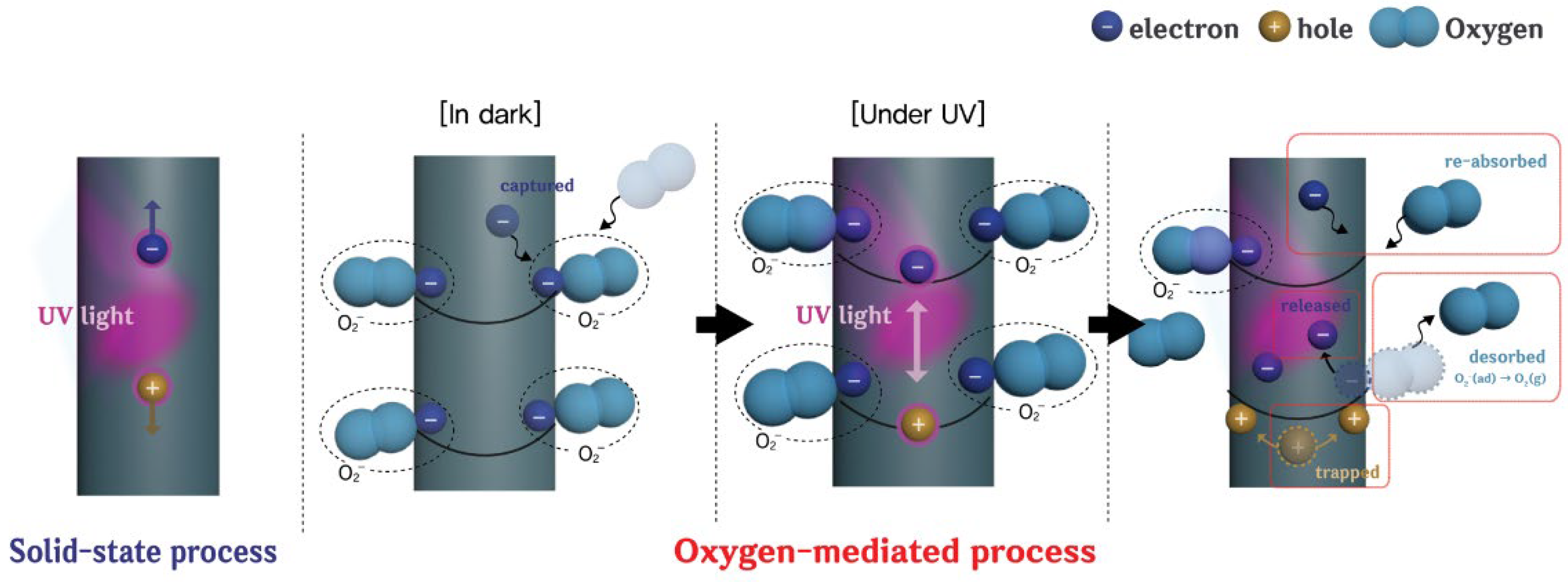 Sensors 21 06124 g006 550