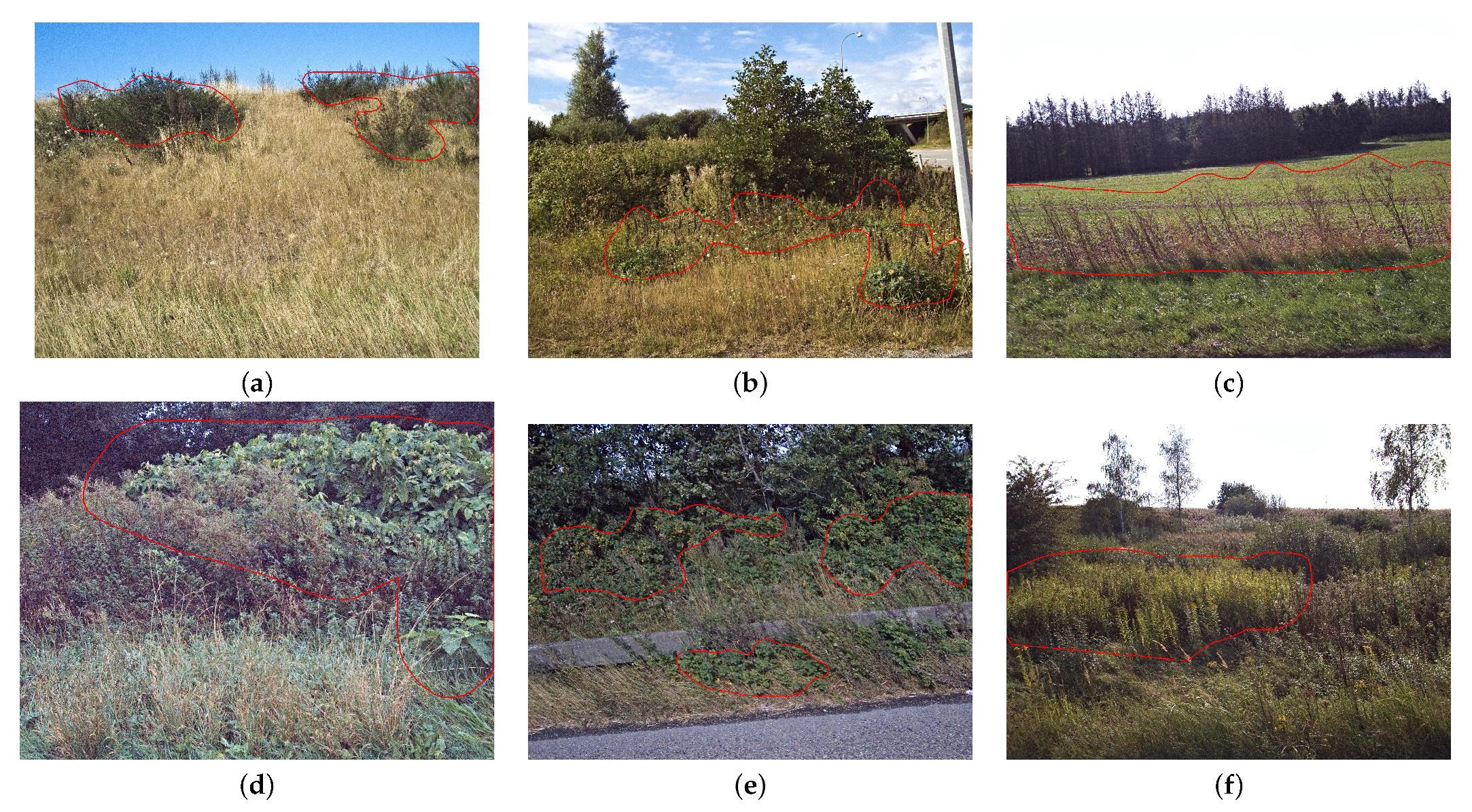 Sensors 21 06126 g006 550