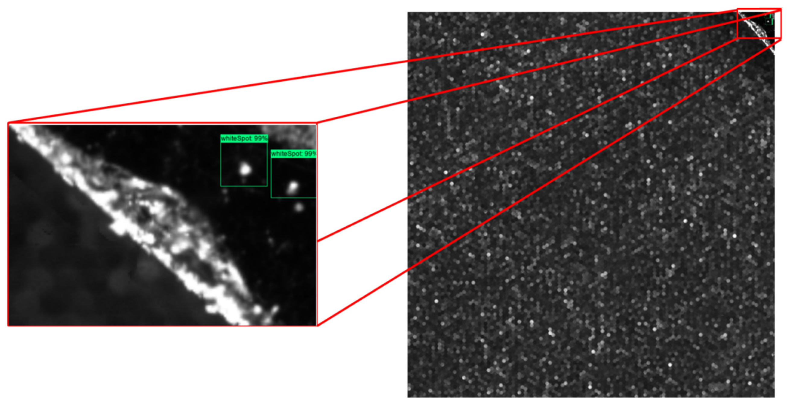 Sensors 21 06141 g005 550