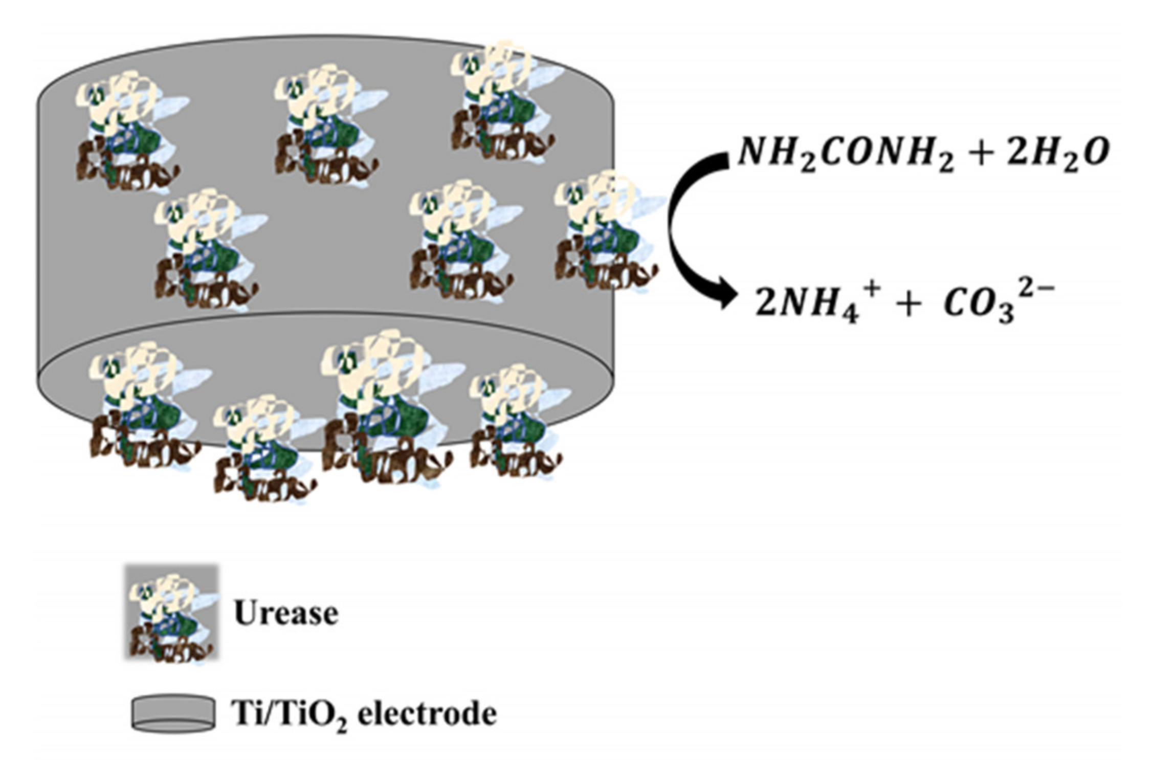 Sensors 21 06167 g010
