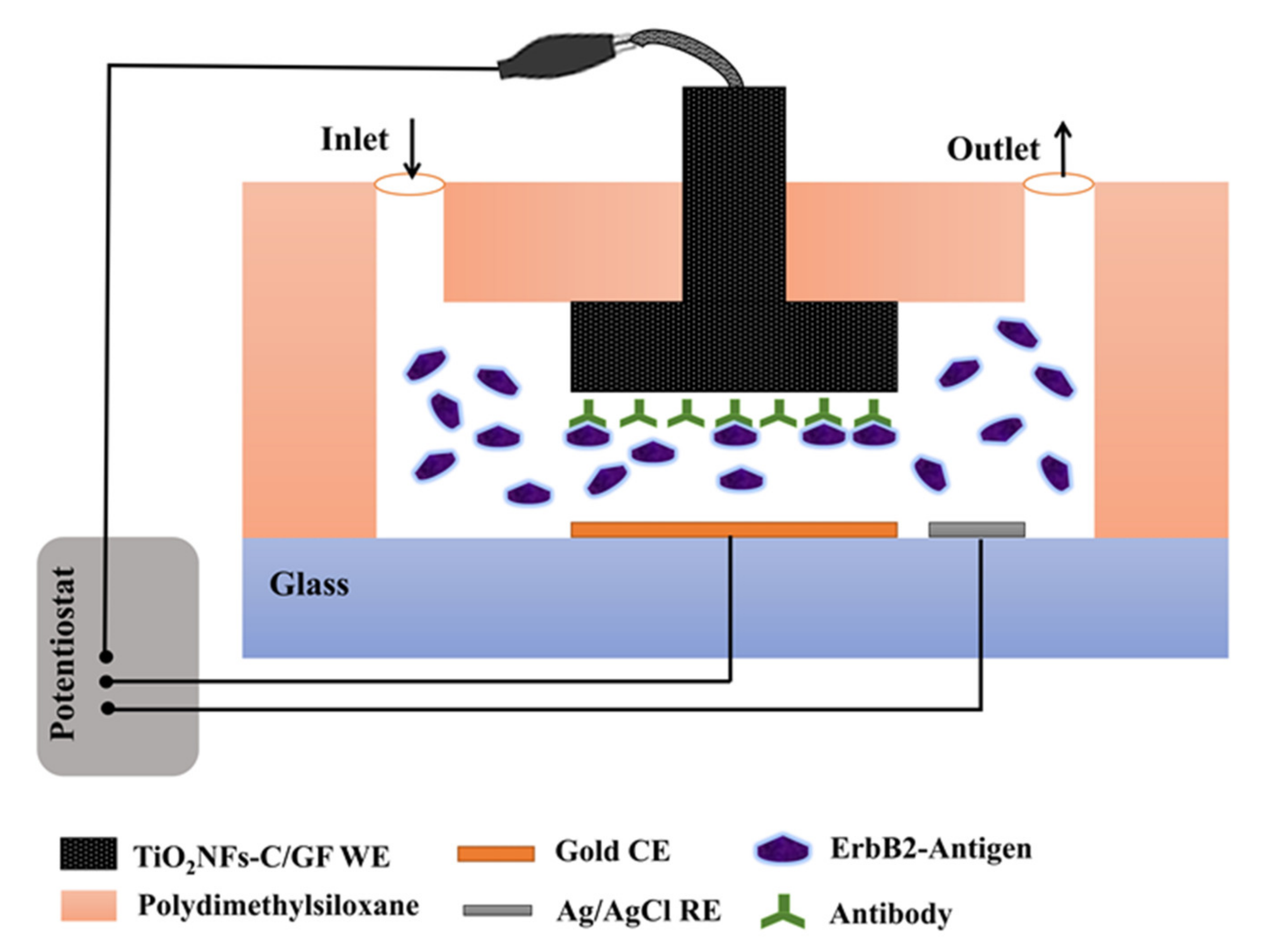 Sensors 21 06167 g011
