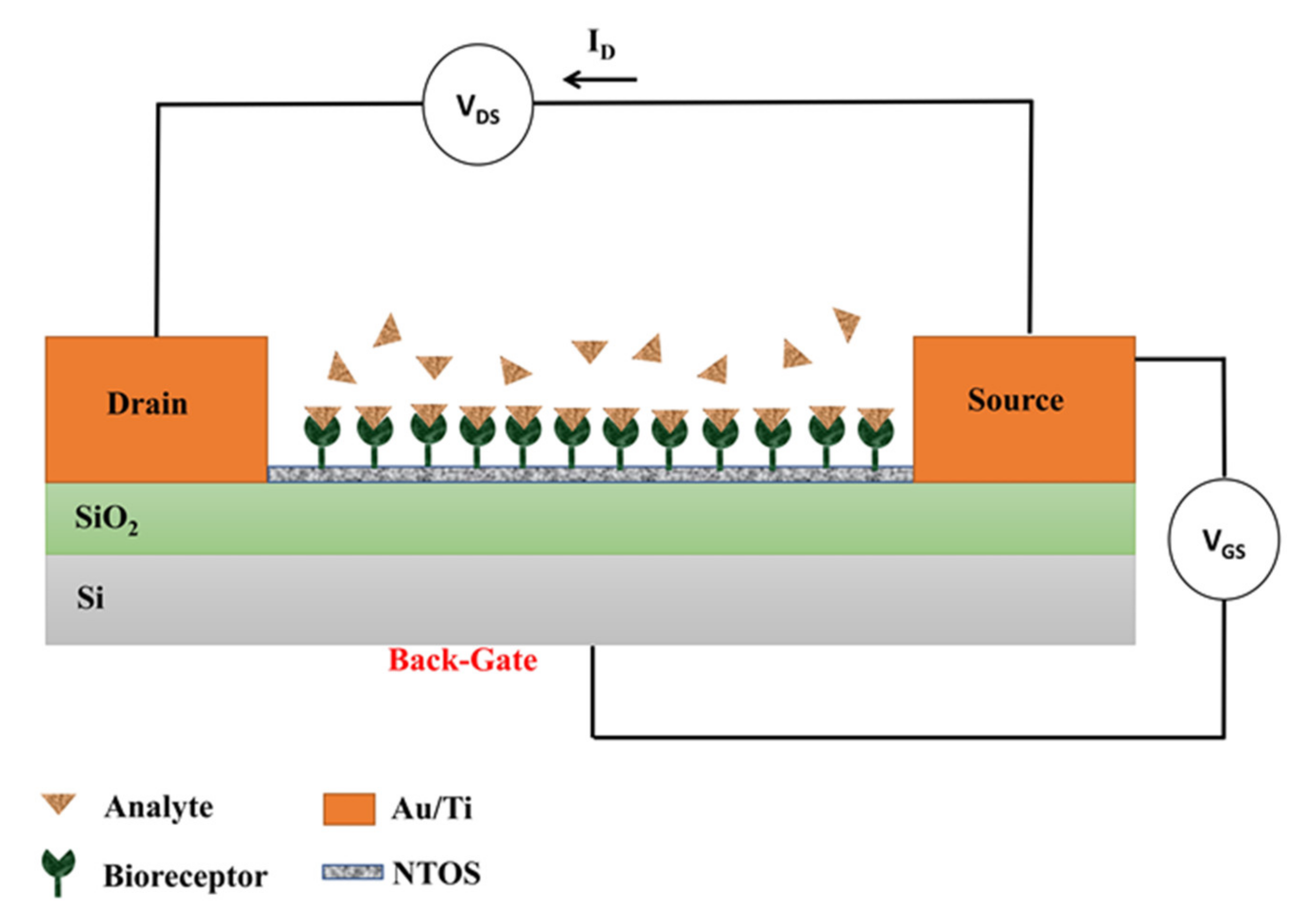 Sensors 21 06167 g012