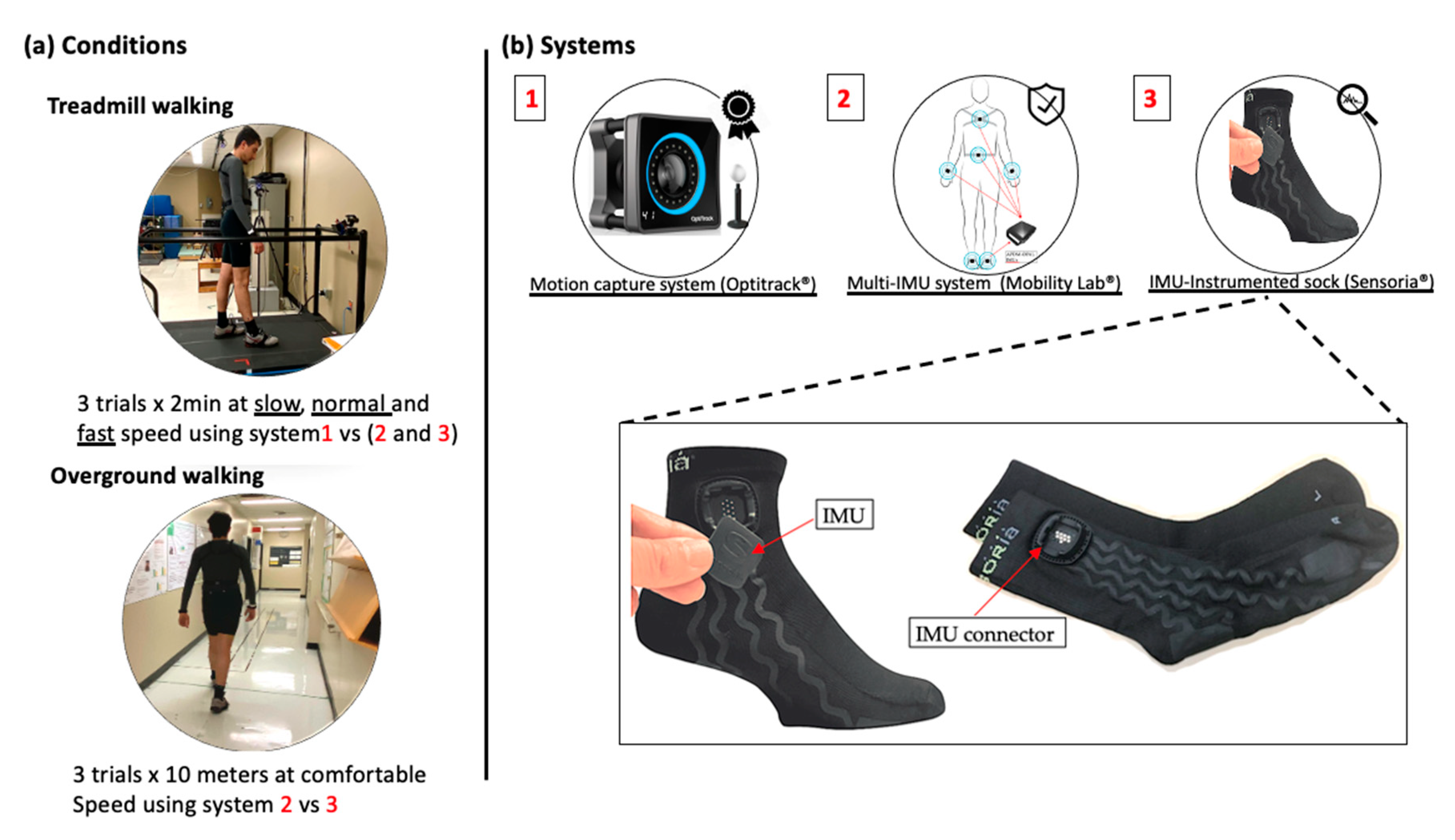 Sensors, Free Full-Text