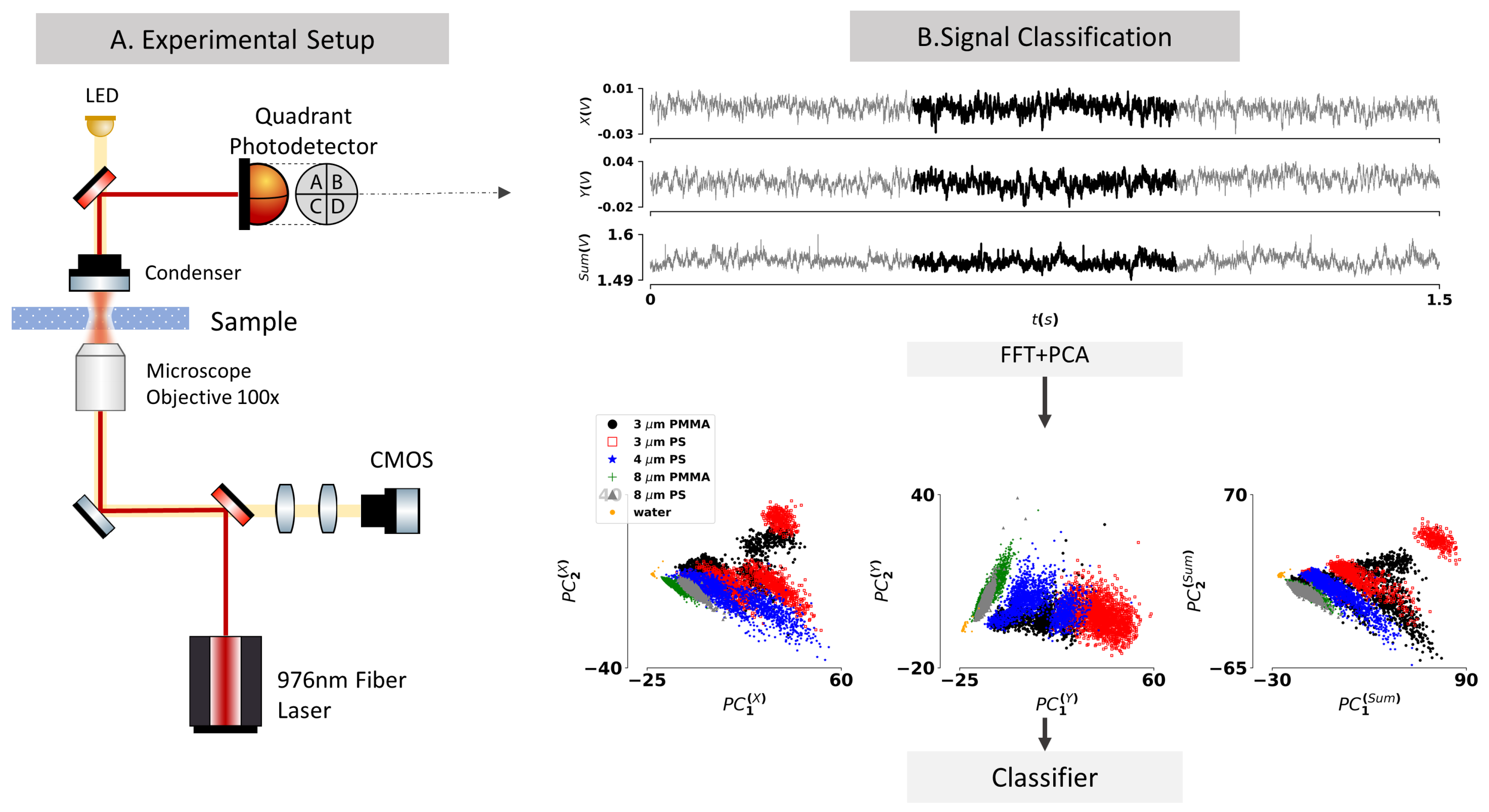 Sensors Free Full Text Particle Classification Through The Analysis Of The Forward Scattered Signal In Optical Tweezers Html