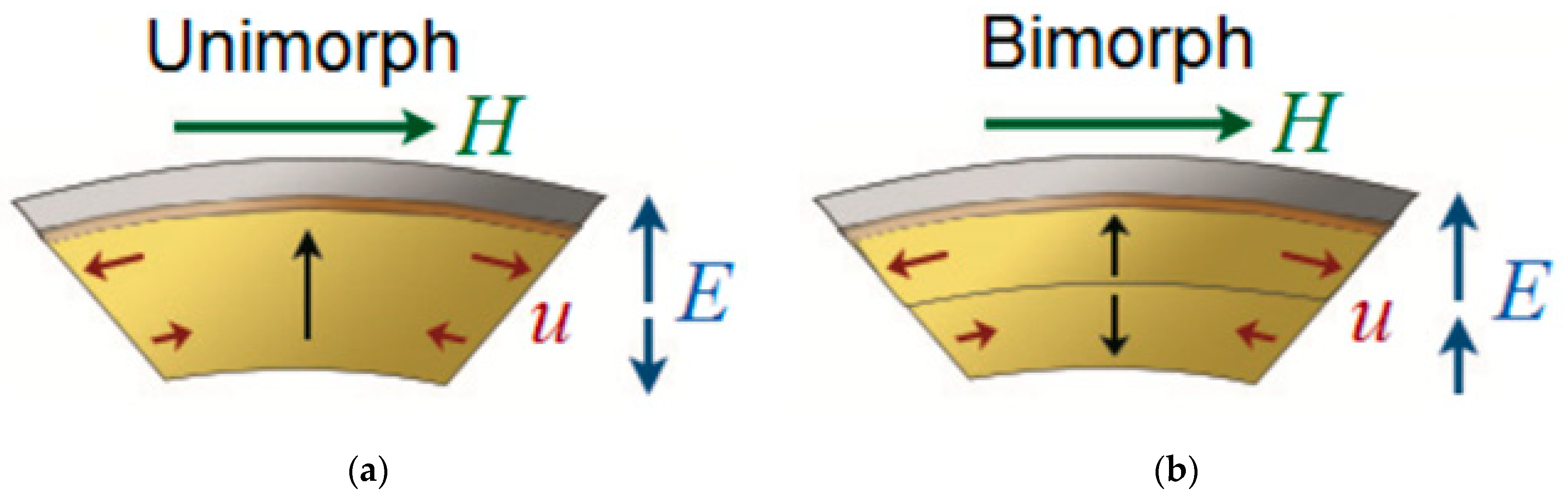 Sensors 21 06232 g011 550