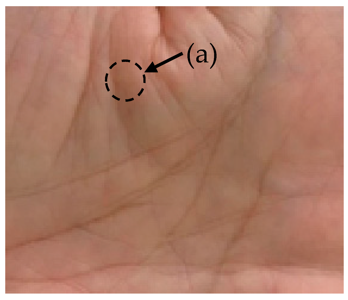 Sensors 21 06256 g001