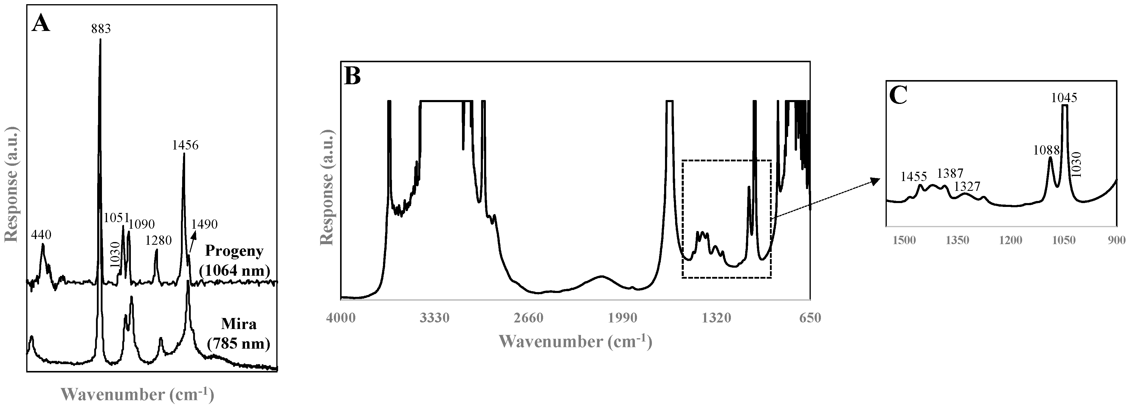 Sensors 21 06278 g002 Sensors 21 06278 g002