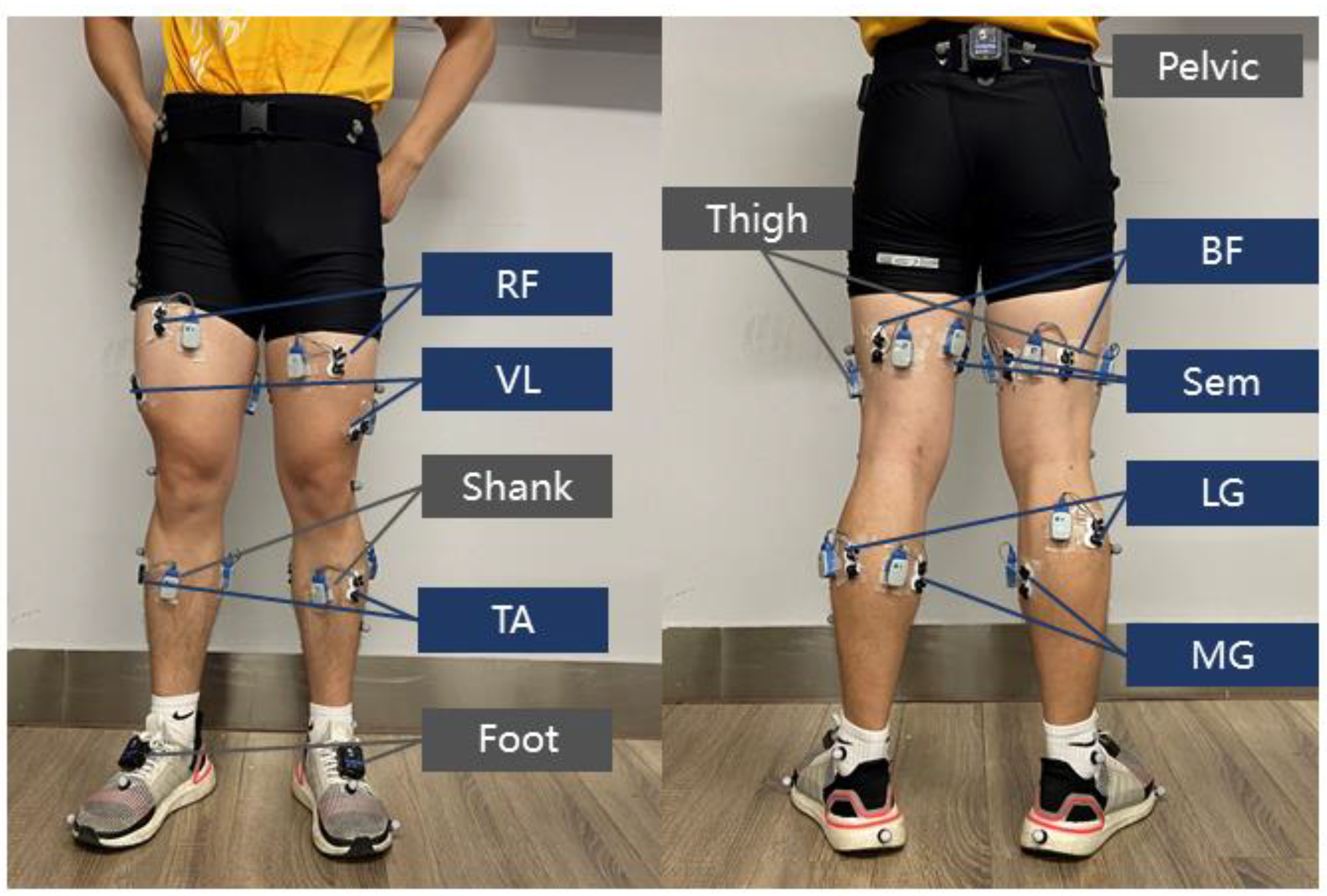 Sensors 21 06291 g001 550