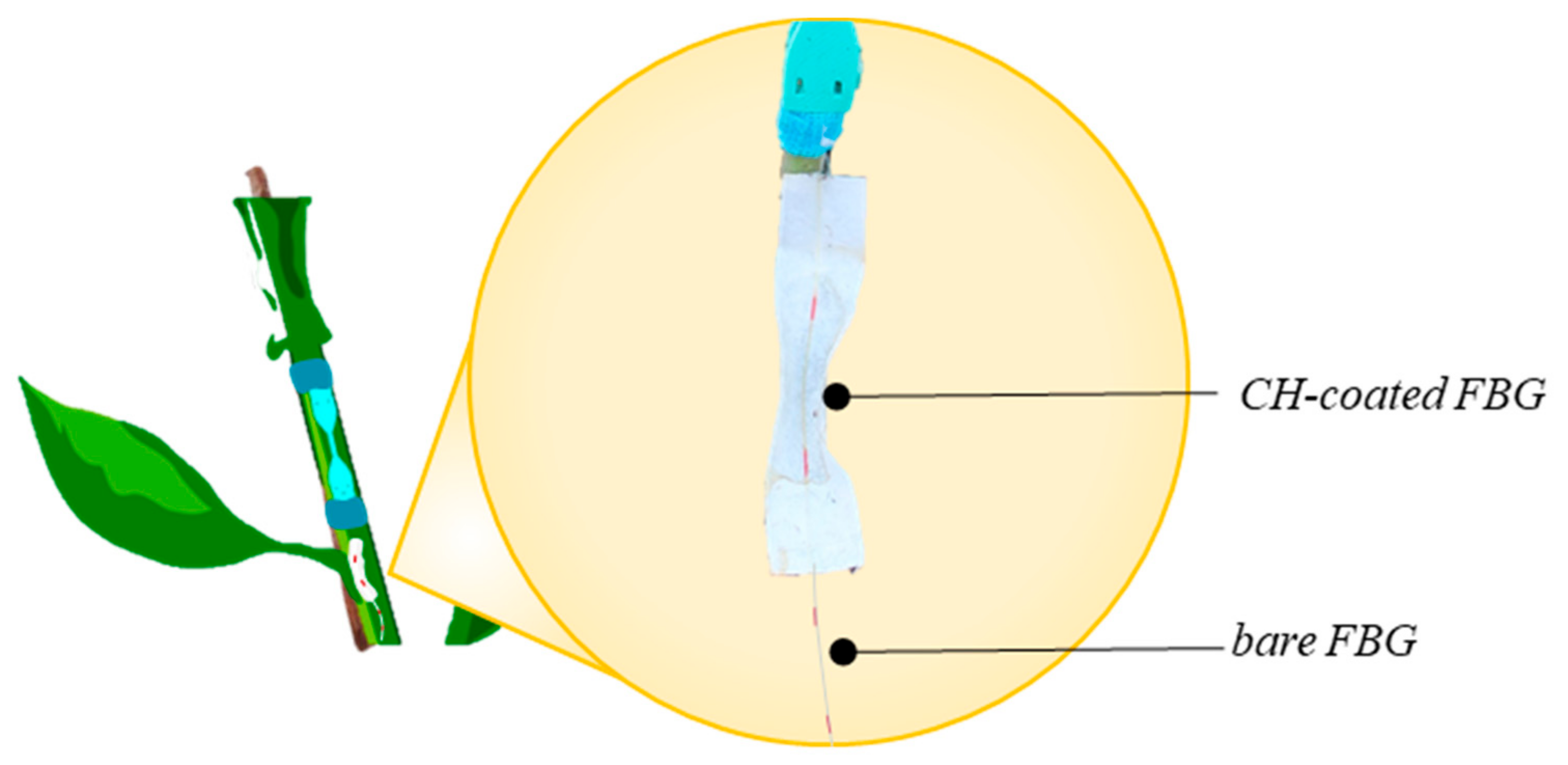 Sensors 21 06327 g003 550
