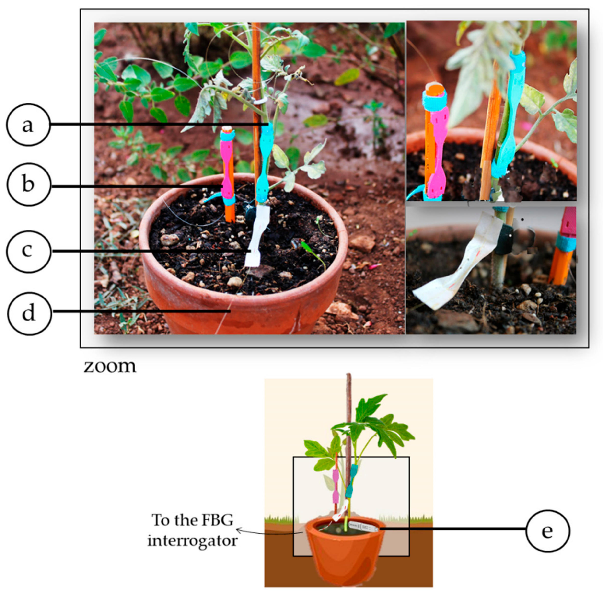 Sensors 21 06327 g007 550