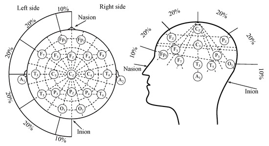 PDF) Decomposing Tool-Action Observation: A Stereo-EEG Study