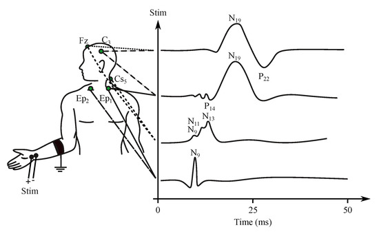 modern human anatomy program asuths modern human anatomy program asuths