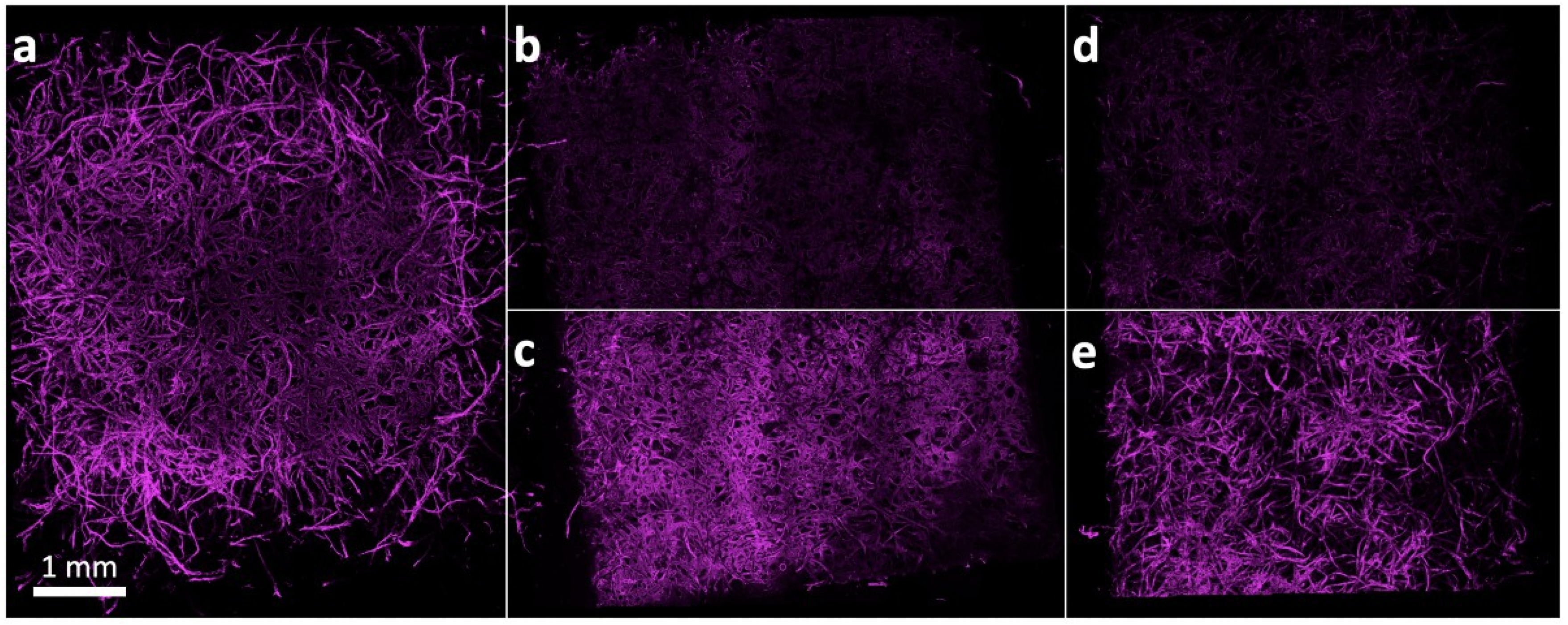Sensors 21 06348 g005