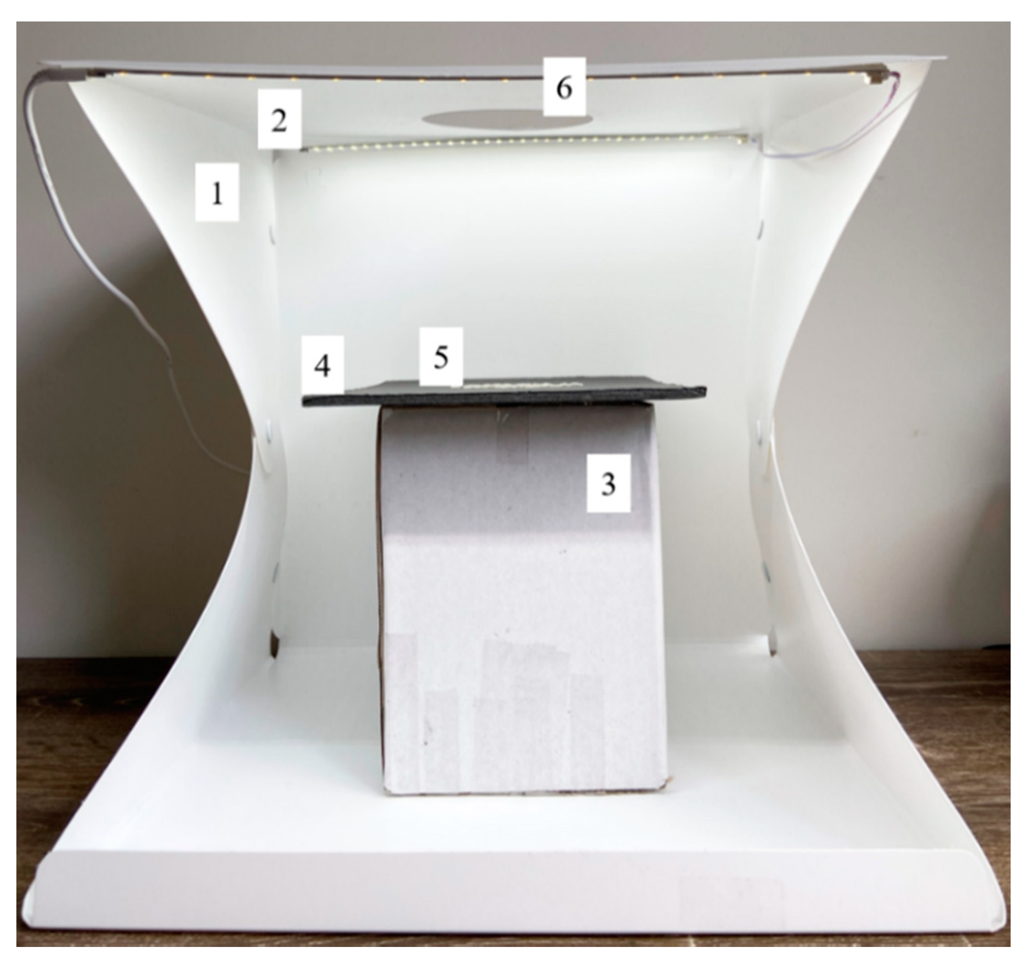 Sensors 21 06354 g001 Sensors 21 06354 g001