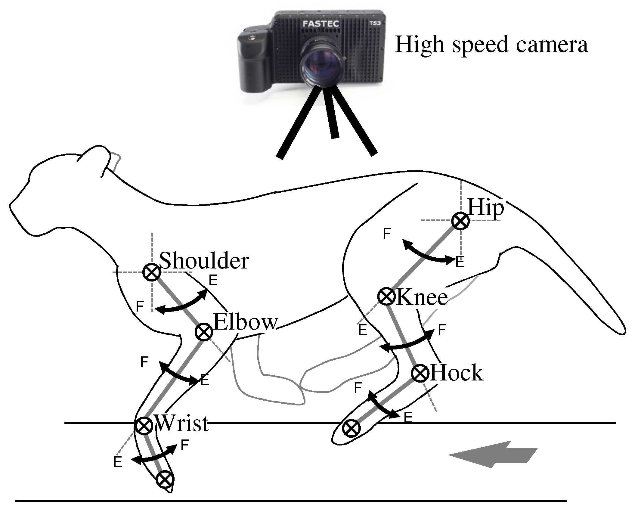 Sensors 21 06366 g002