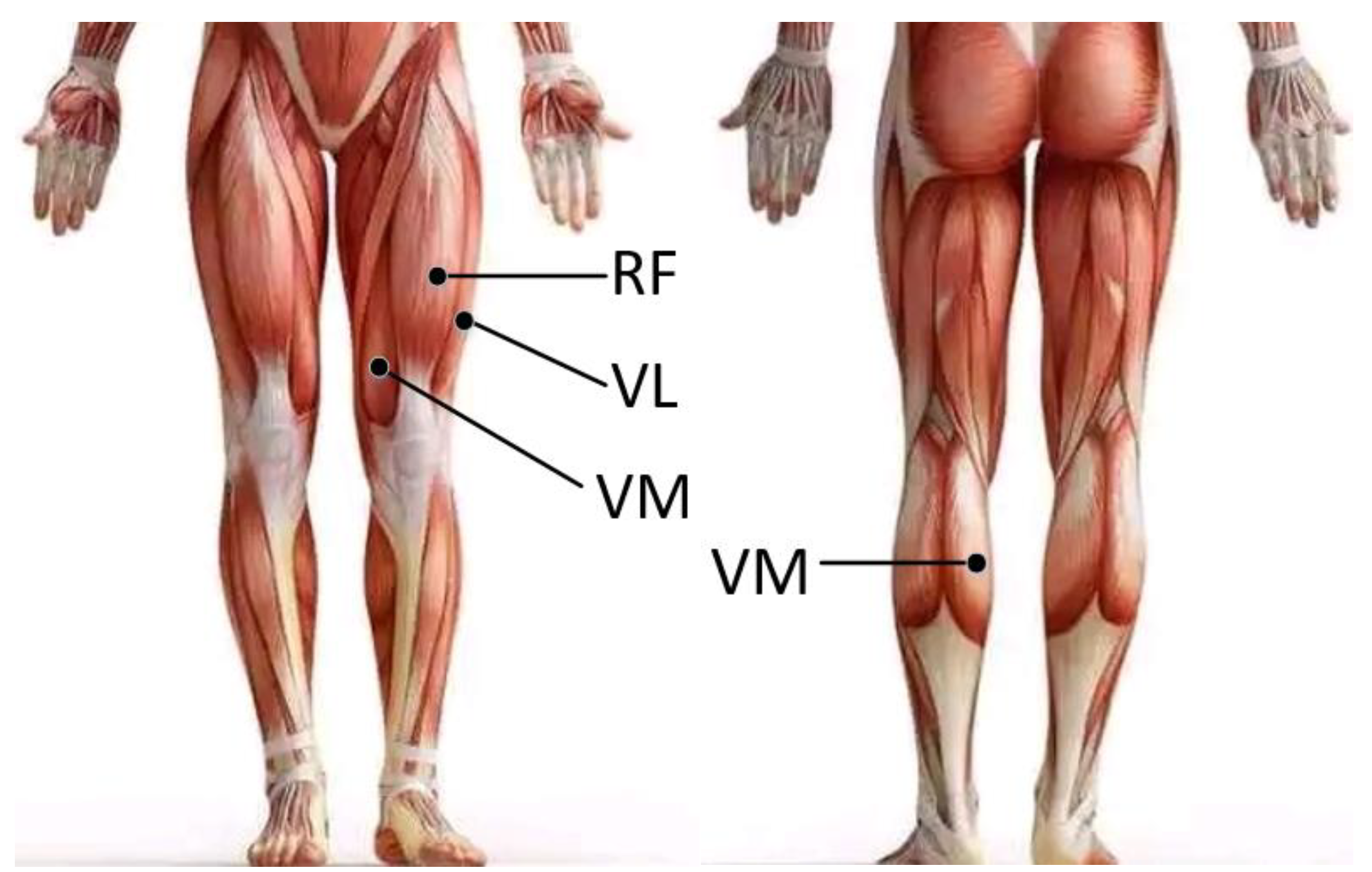 Sensors 21 06369 g001 550