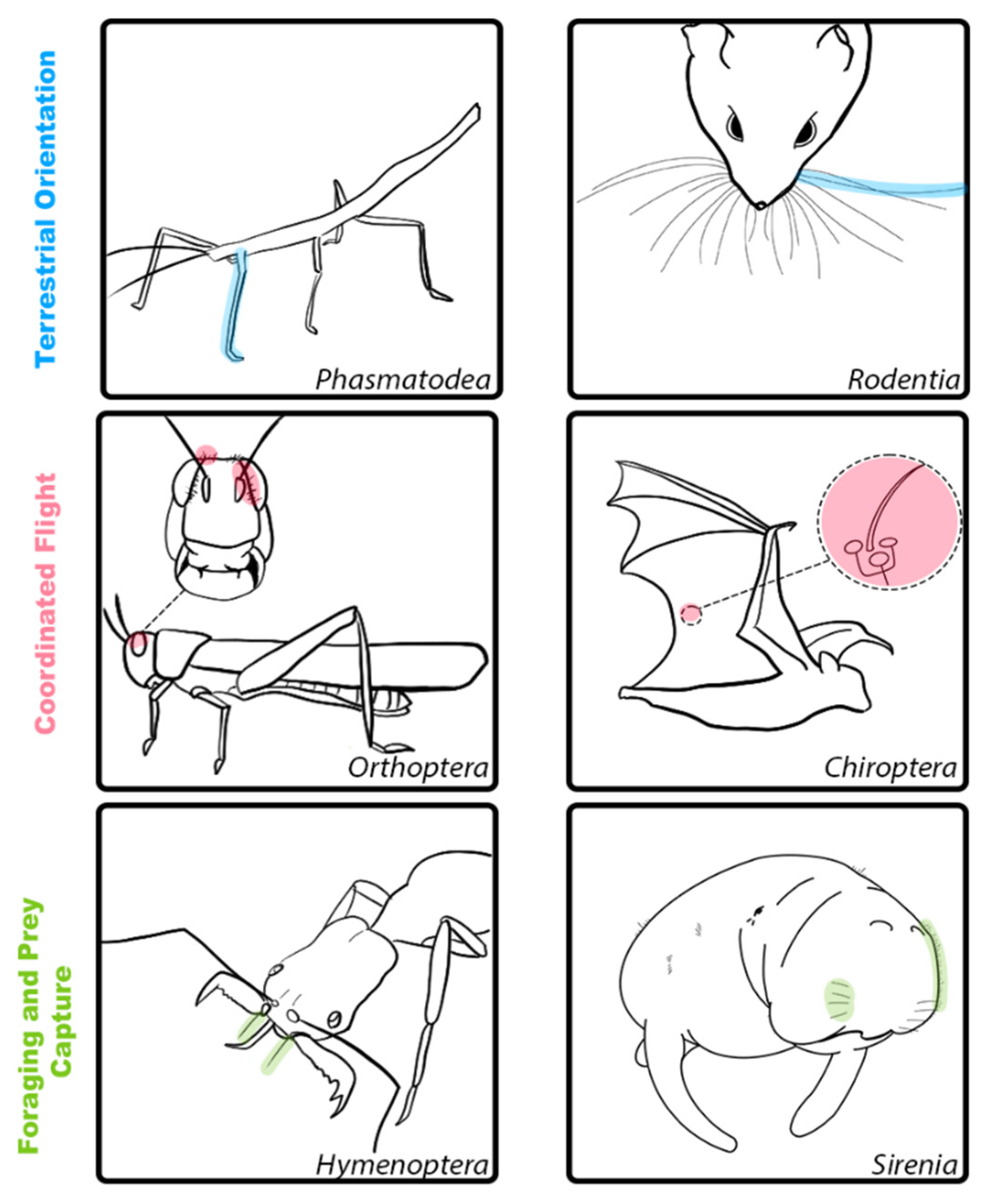 Sensors 21 06375 g001