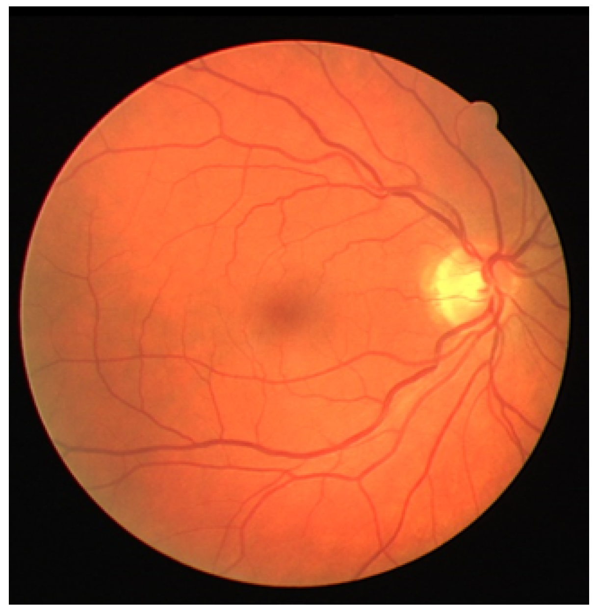 Sensors 21 06380 g001