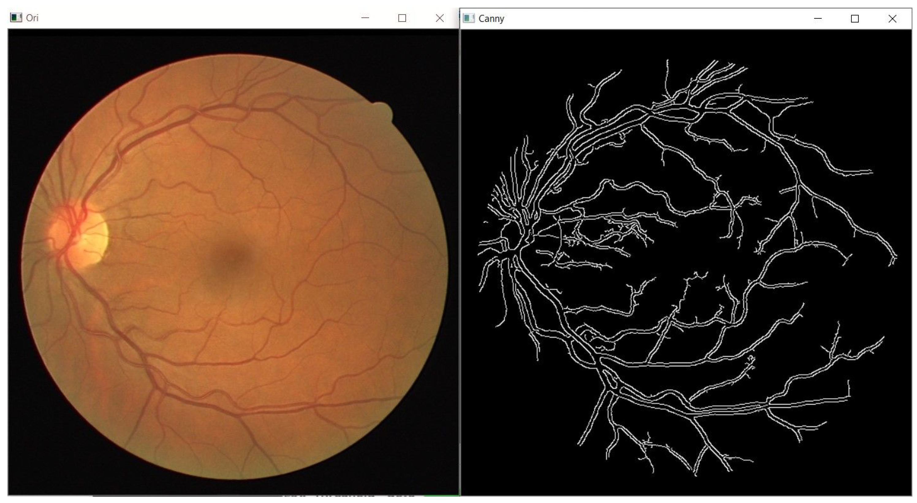 Sensors 21 06380 g004