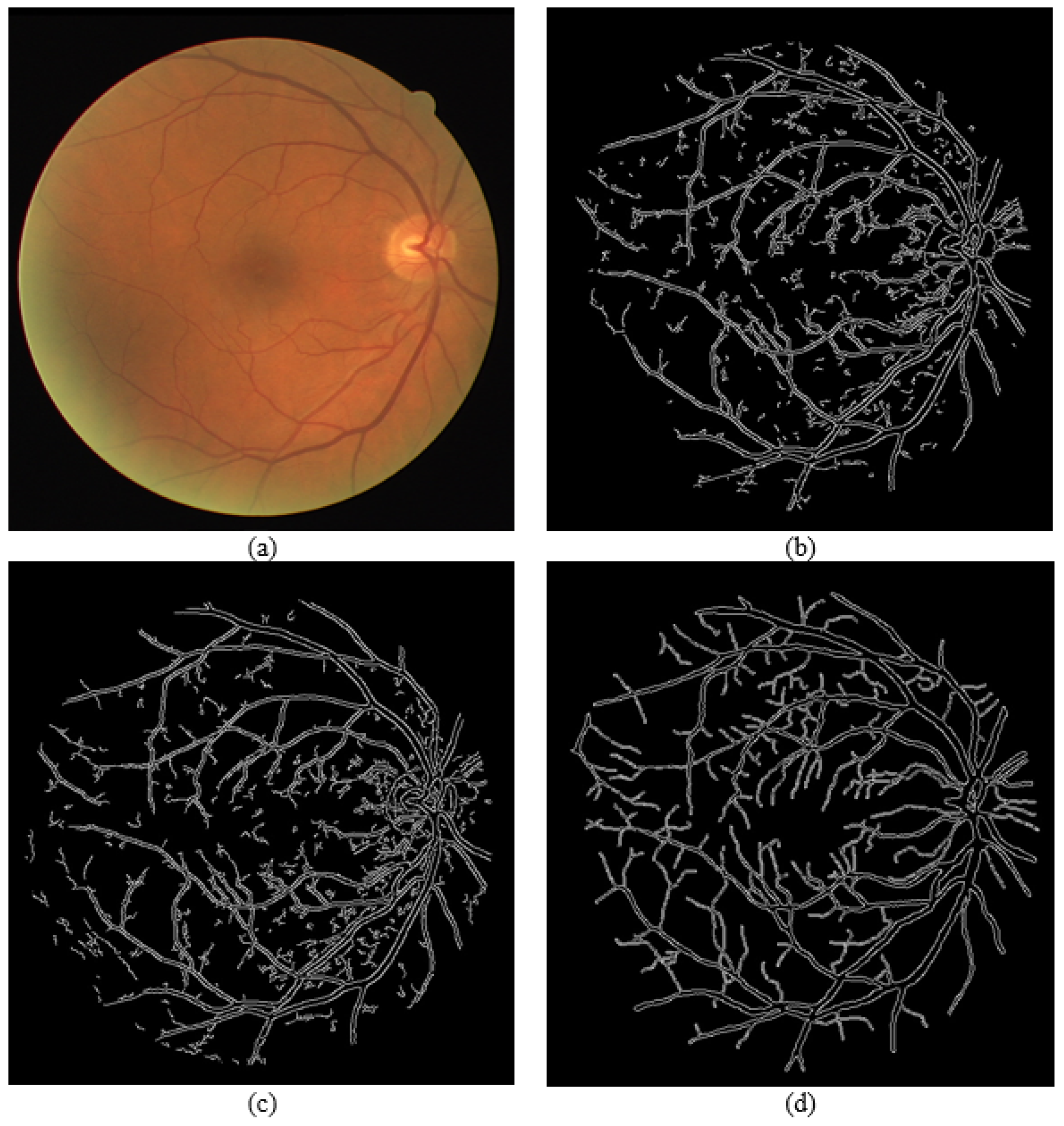 Sensors 21 06380 g017