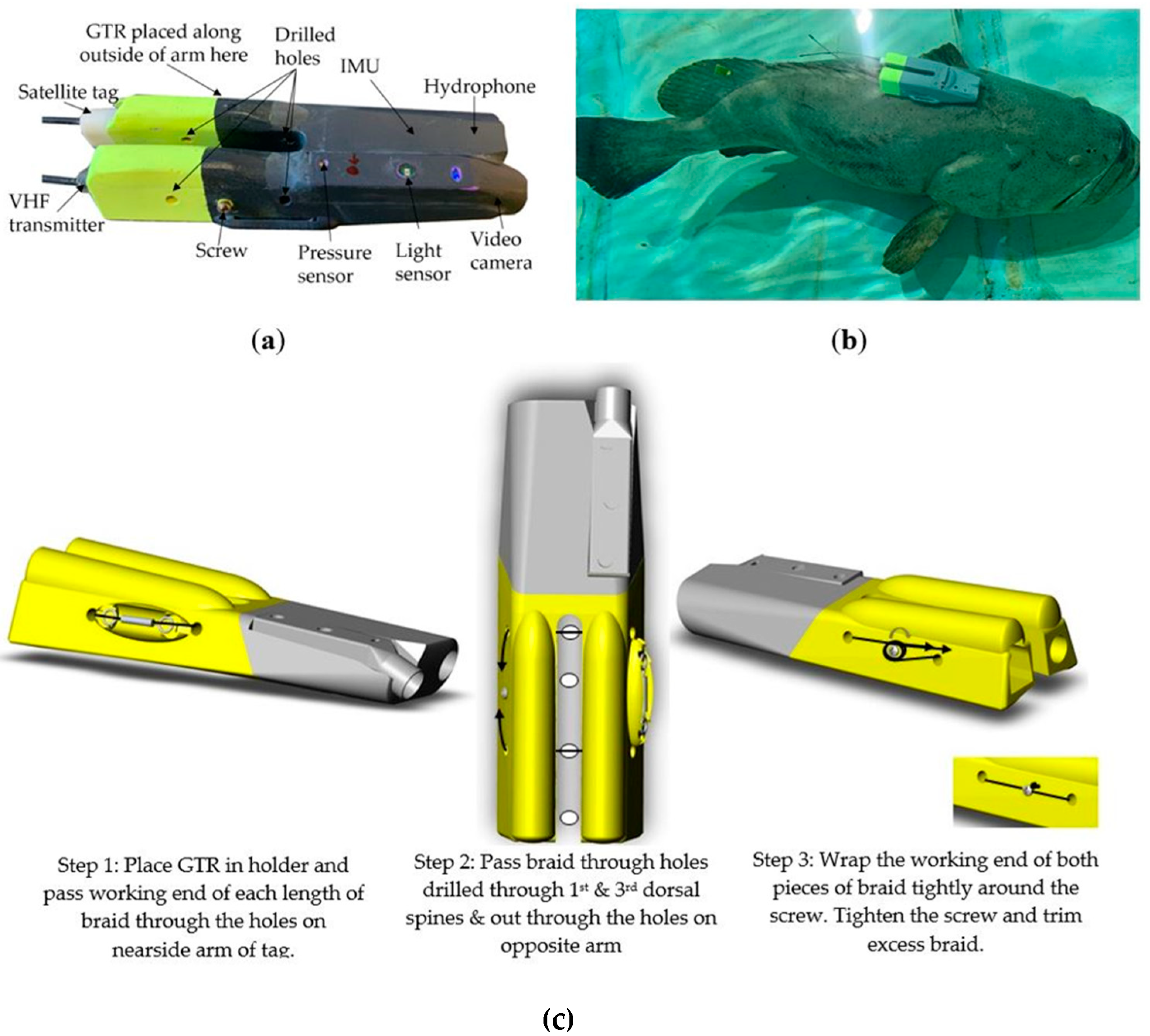 Sensors 21 06392 g003 550