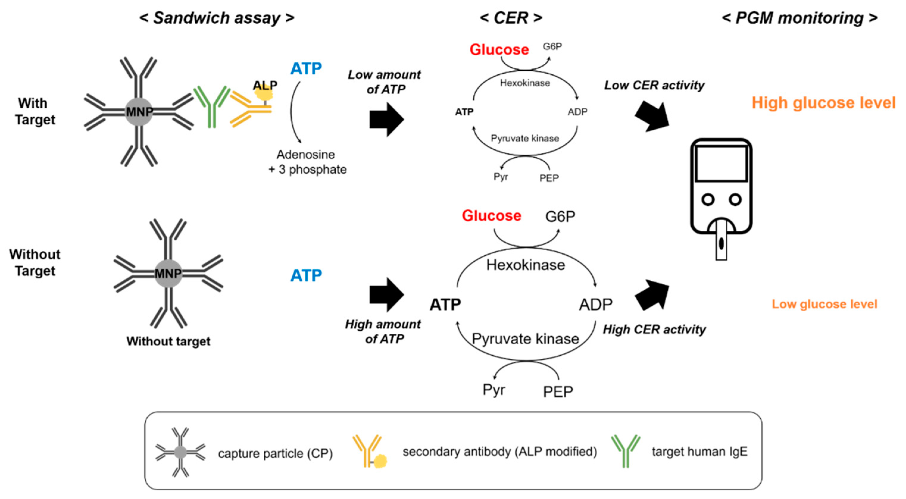 Sensors 21 06396 g001 Sensors 21 06396 g001